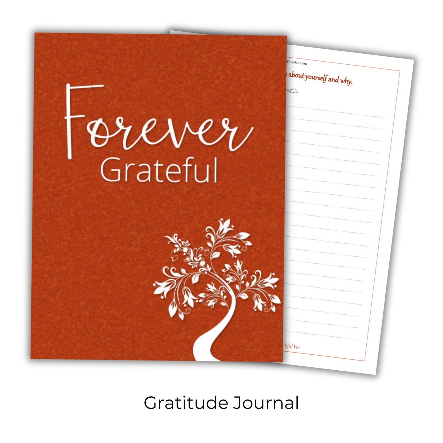 Personal Journals Bundle
