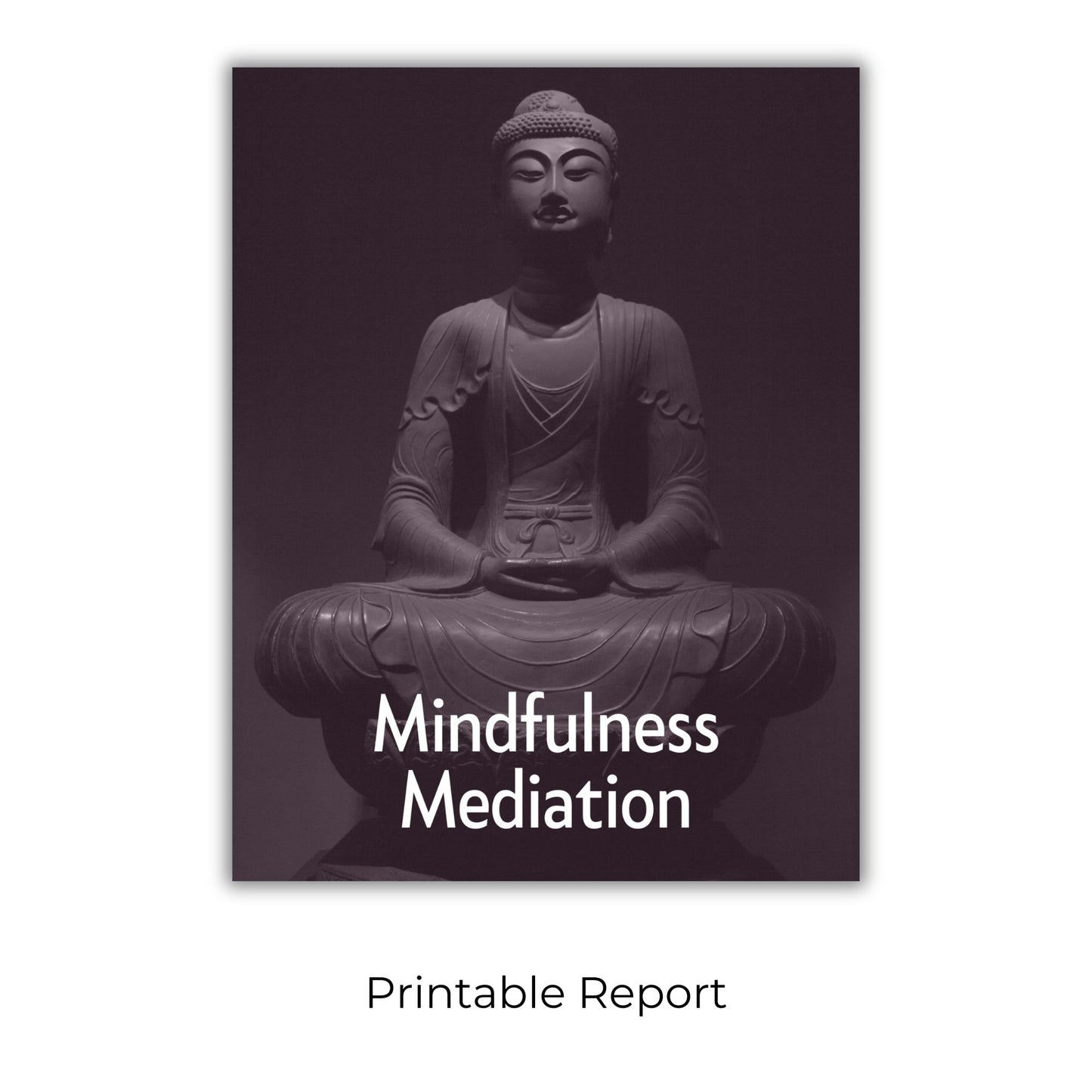 Becoming Present: Mindfulness in a Hectic Age