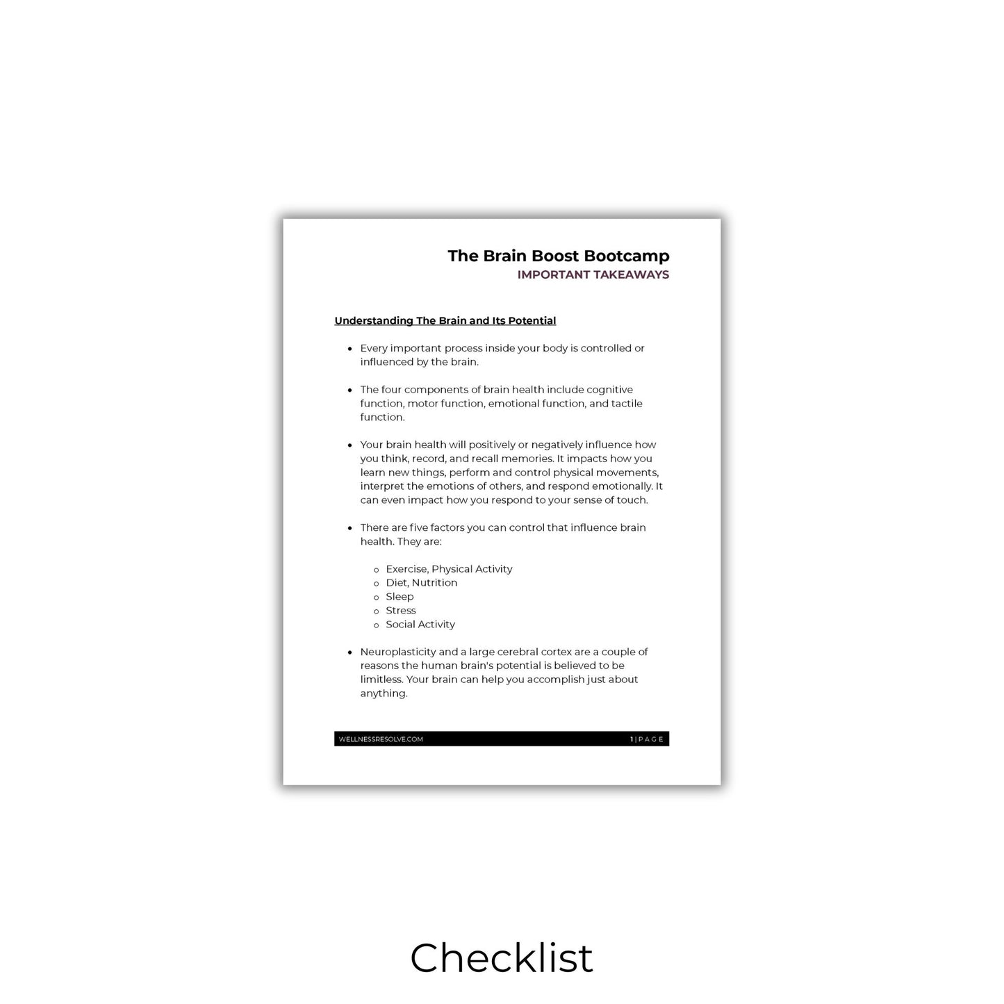 Brain Boost Bootcamp: Boosting Cognitive Fitness For Life