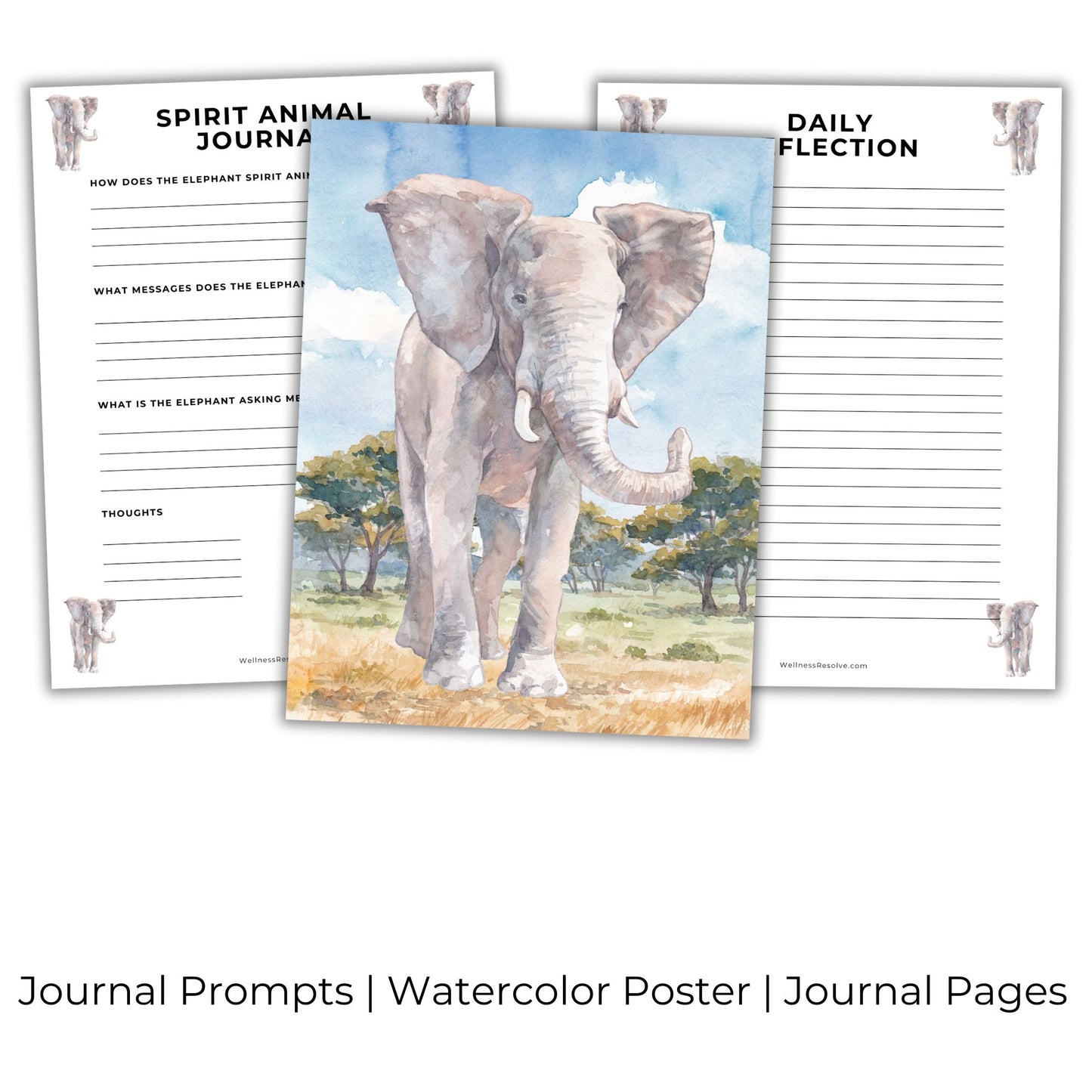 Elephant Journal