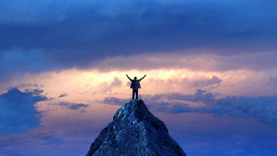 How to Reach the Top of Your Field: Strategies for Personal Success
