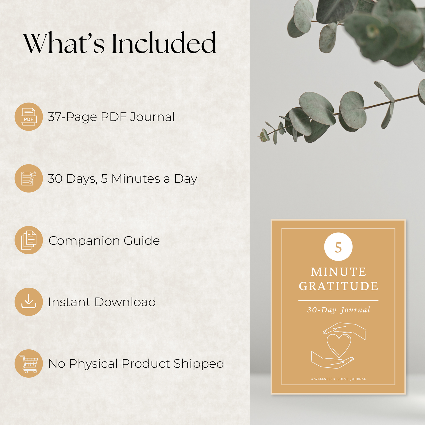 5 Minute Gratitude - 30 Day Journal