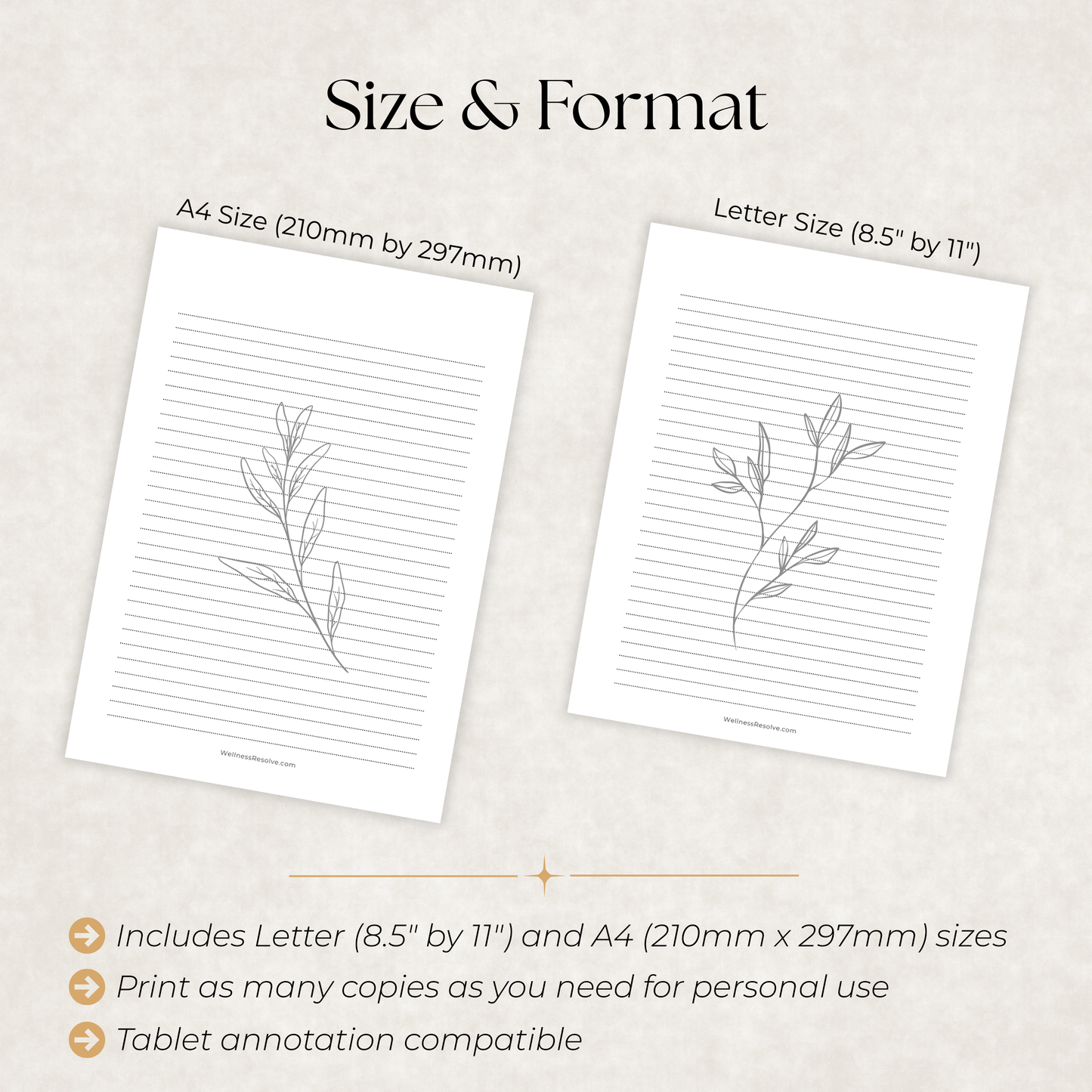 5 Minute Gratitude - 30 Day Journal
