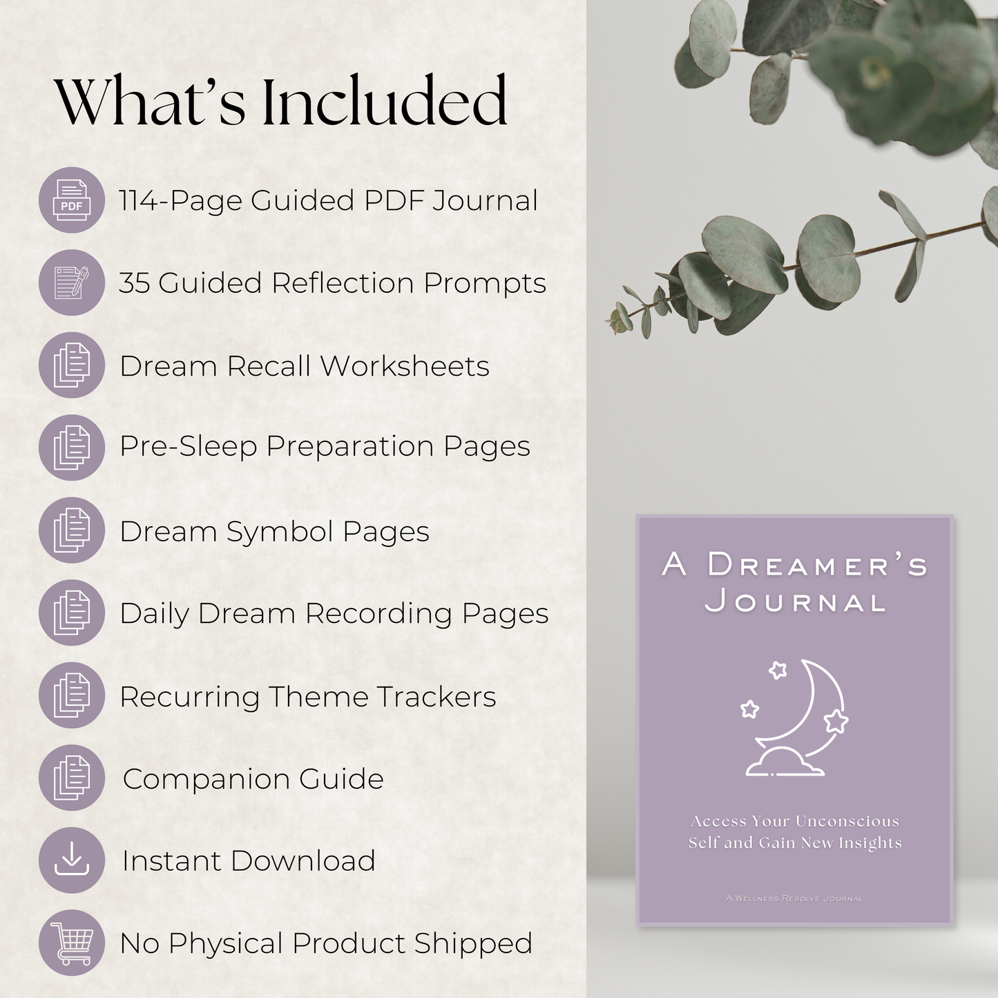 A Dreamer's Journal