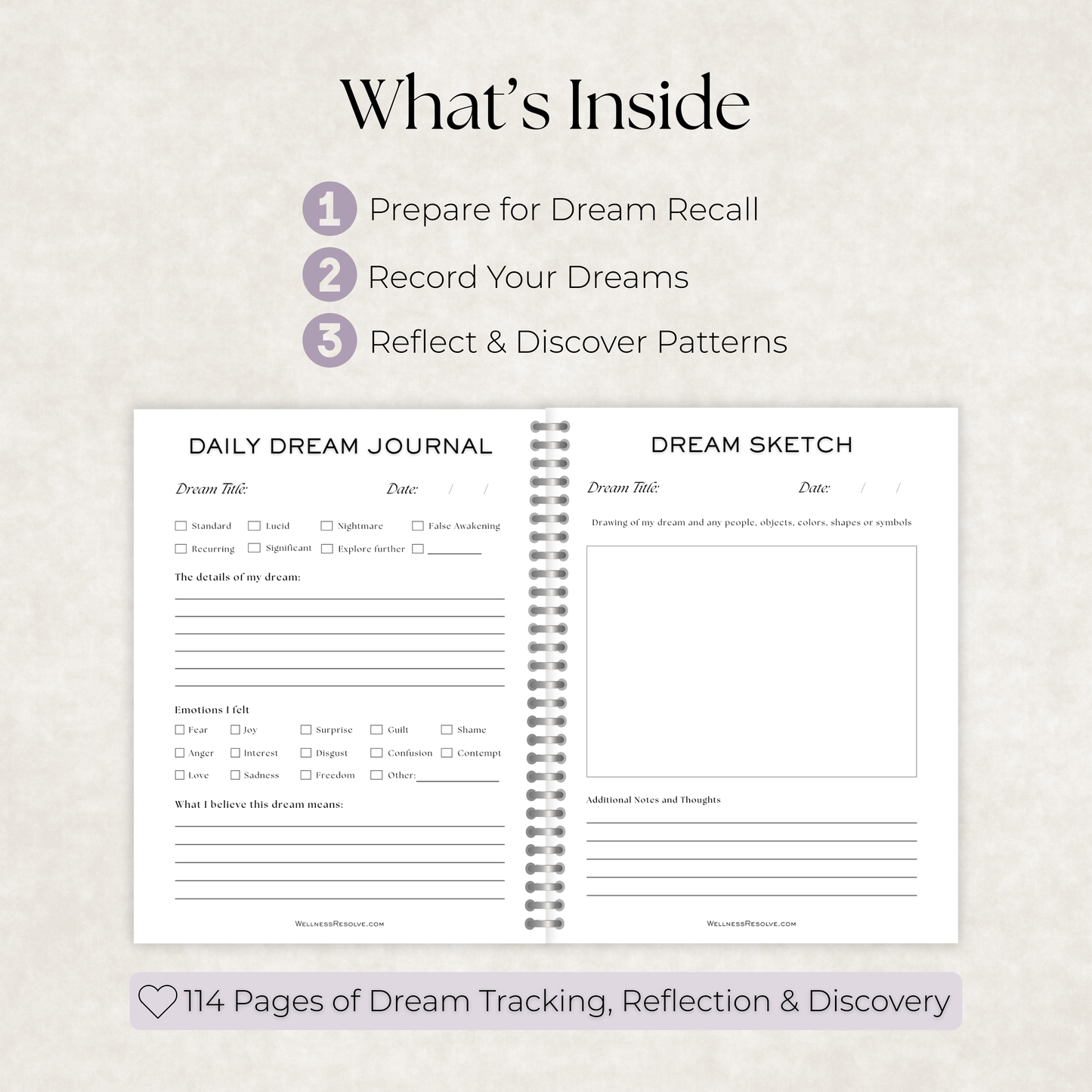 A Dreamer's Journal
