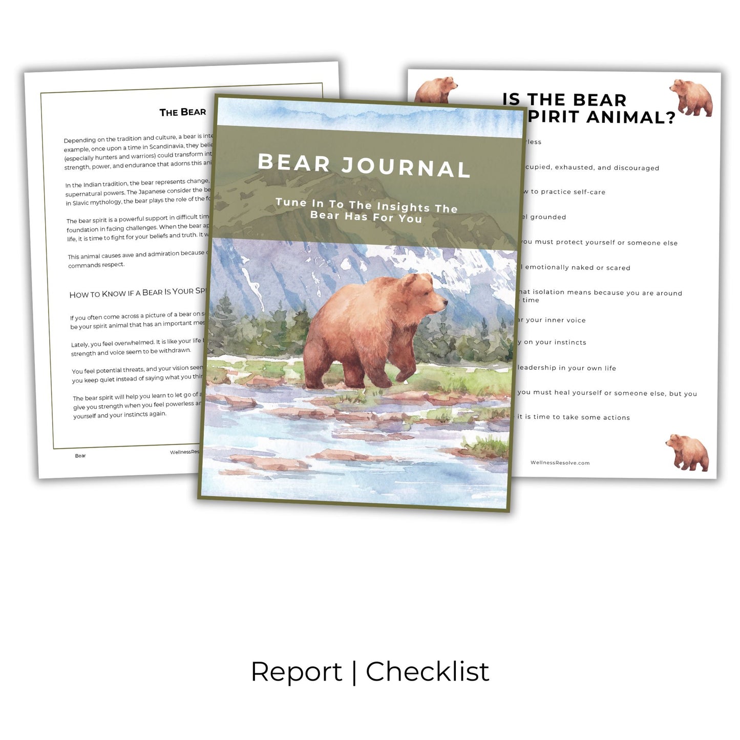Bear Journal