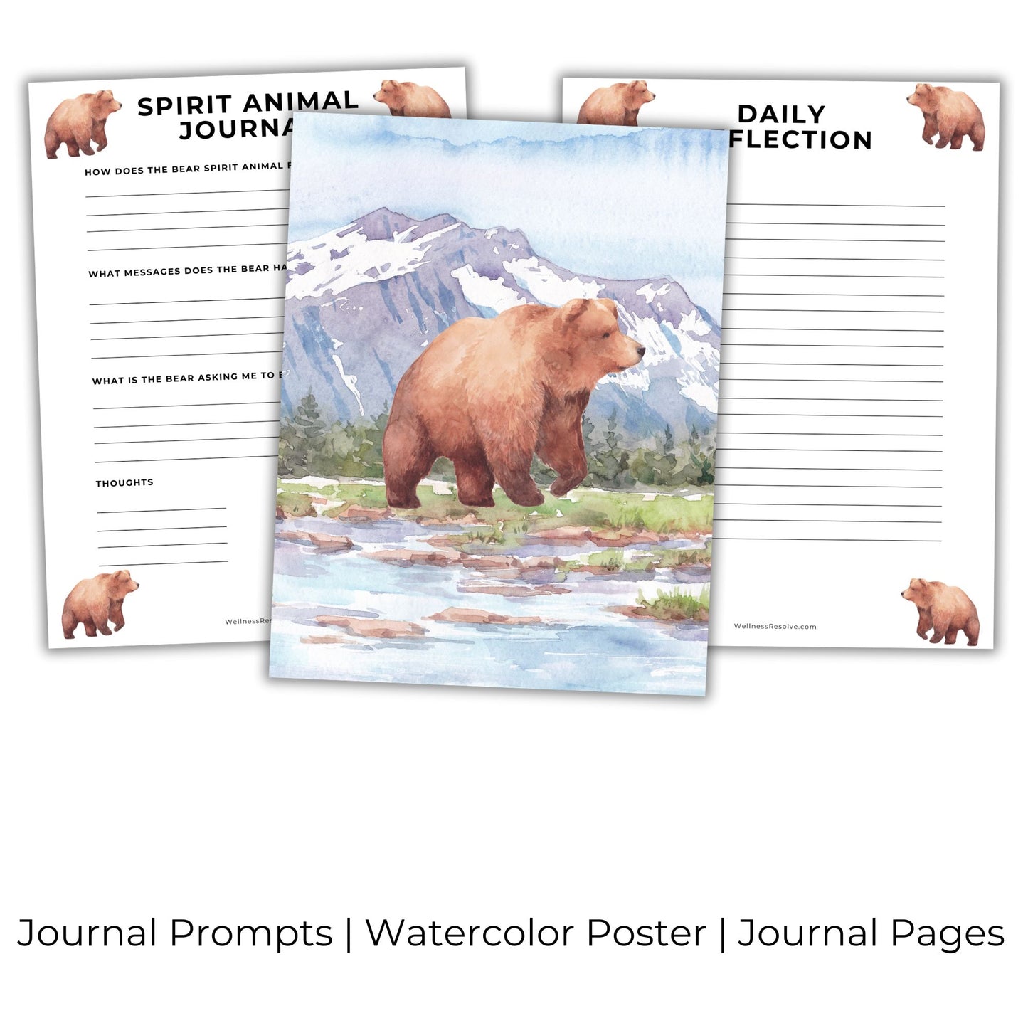 Bear Journal