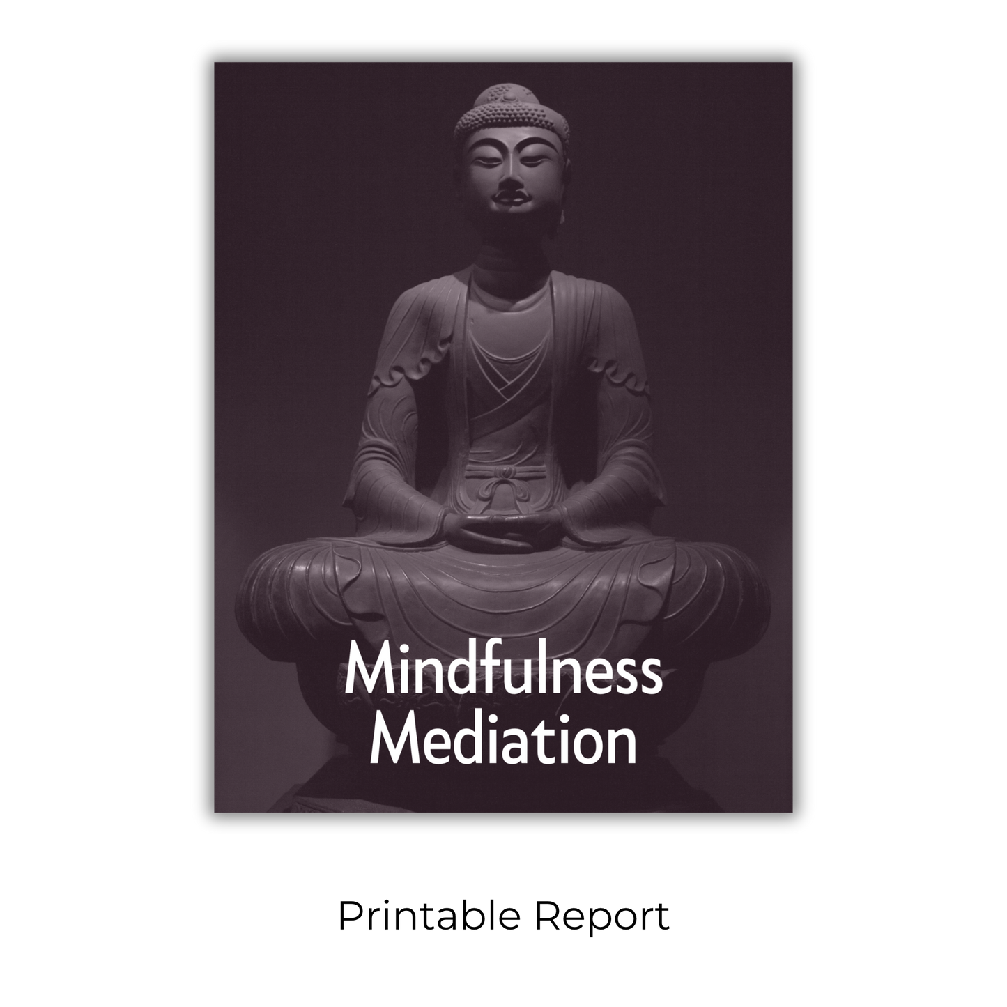 Becoming Present: Mindfulness in a Hectic Age