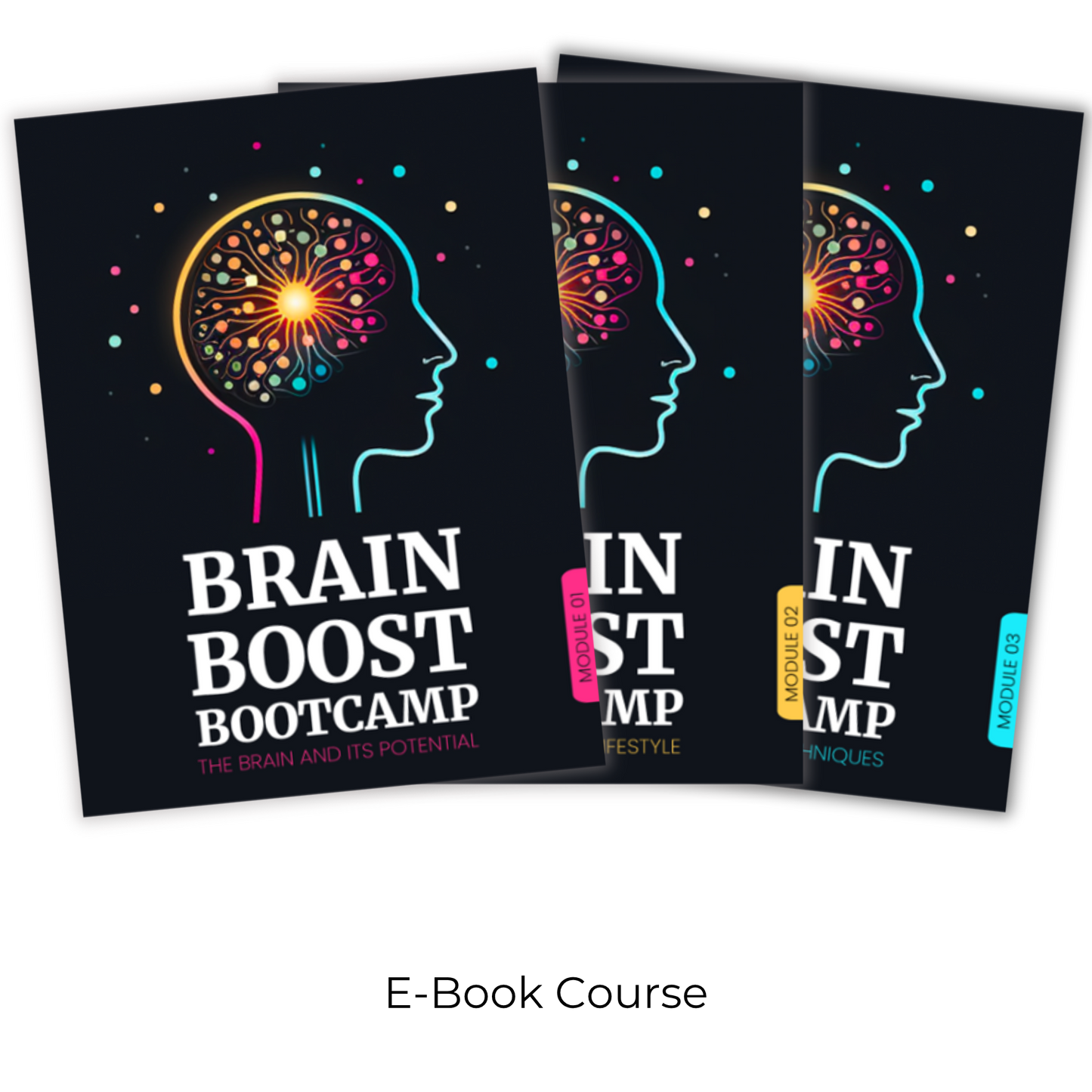 Brain Boost Bootcamp: Boosting Cognitive Fitness For Life