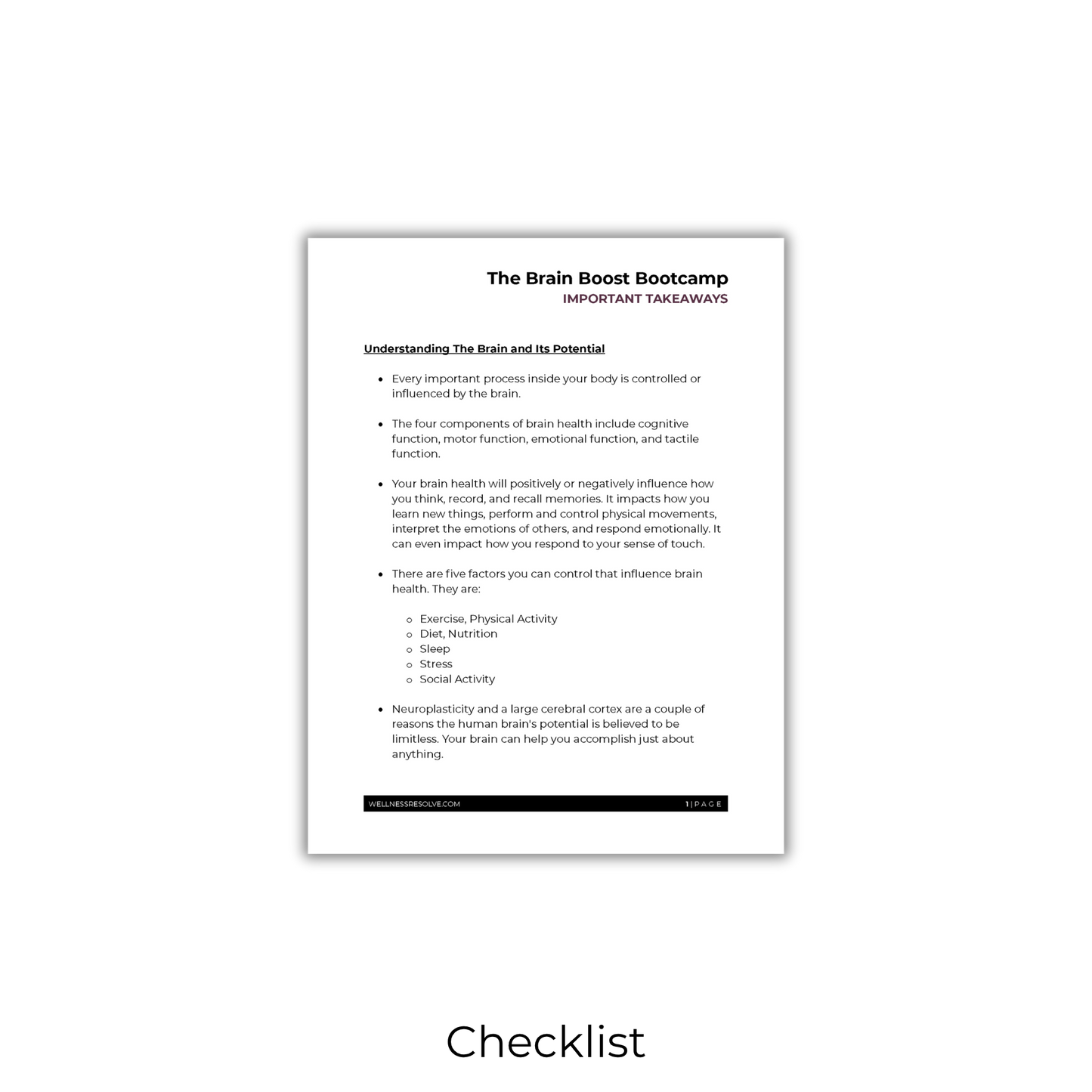 Brain Boost Bootcamp: Boosting Cognitive Fitness For Life