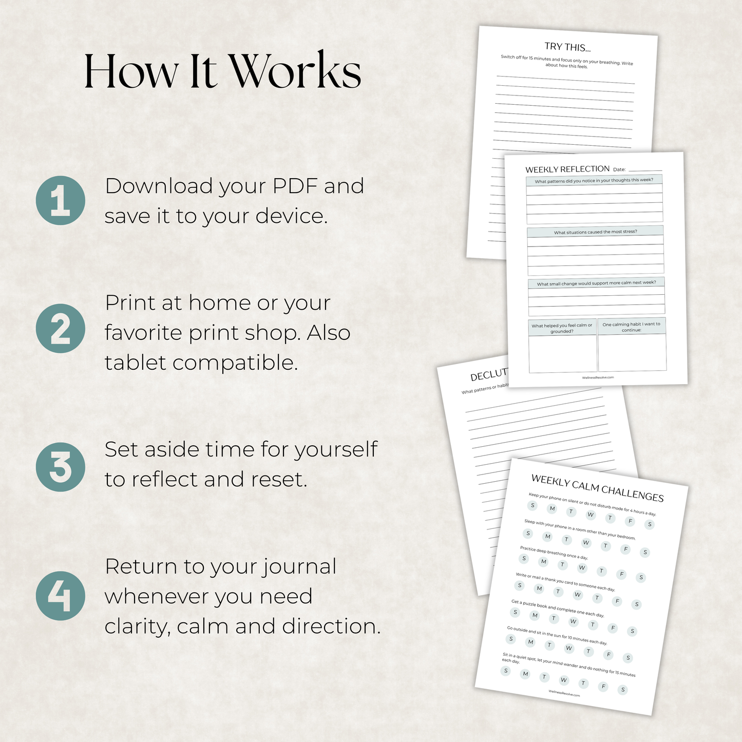 Calm Your Mind Journal