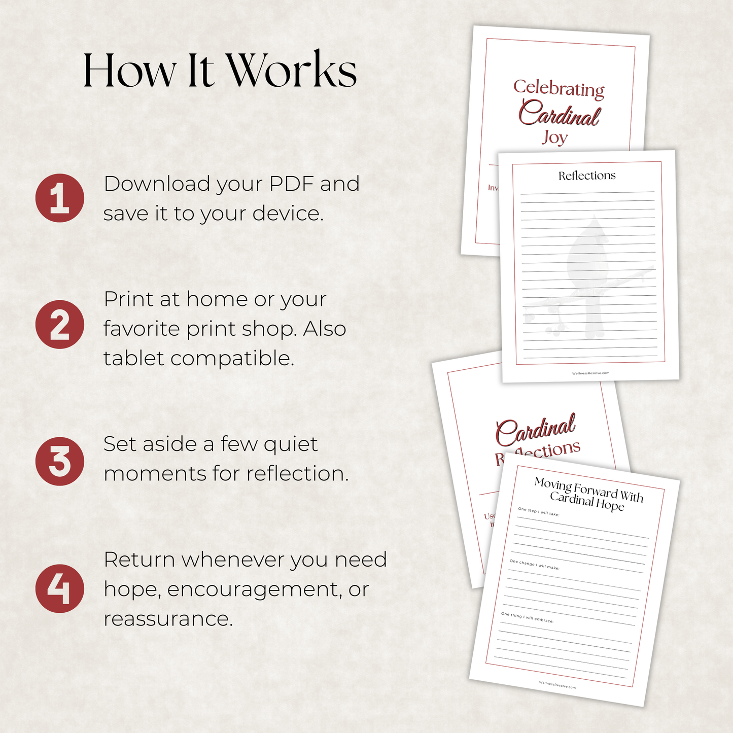 Cardinal Journal: A Guided Journey Toward Hope, Courage & Renewal