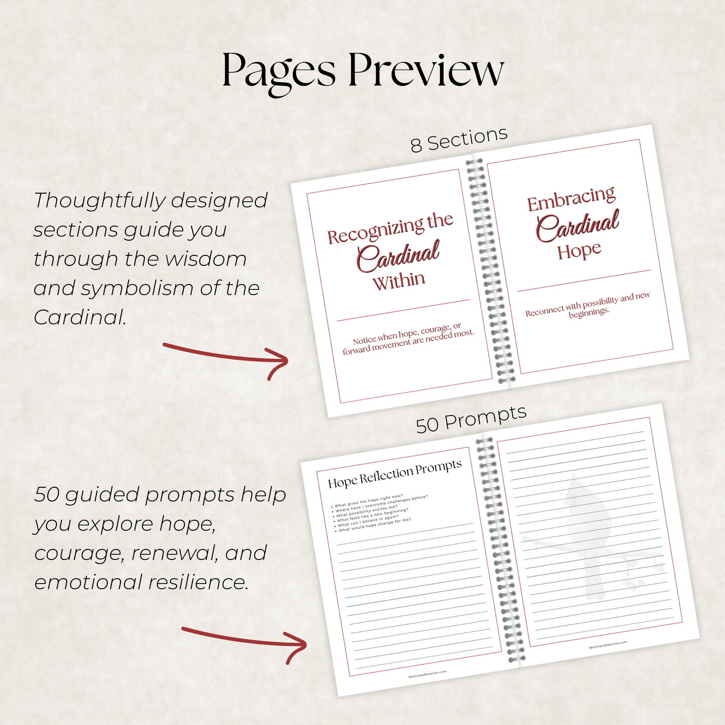 Cardinal Journal: A Guided Journey Toward Hope, Courage & Renewal