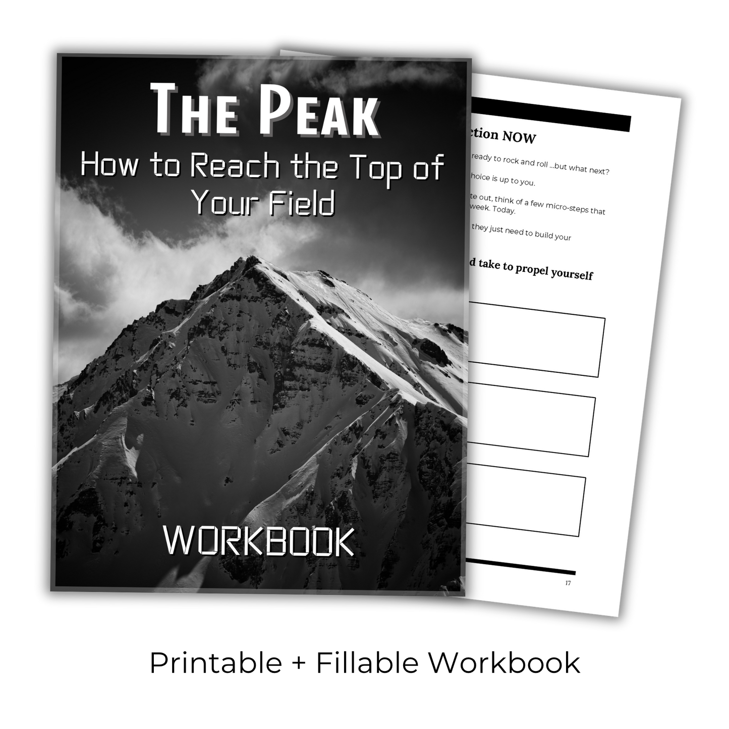 The Peak: How To Reach The Top Of Your Field