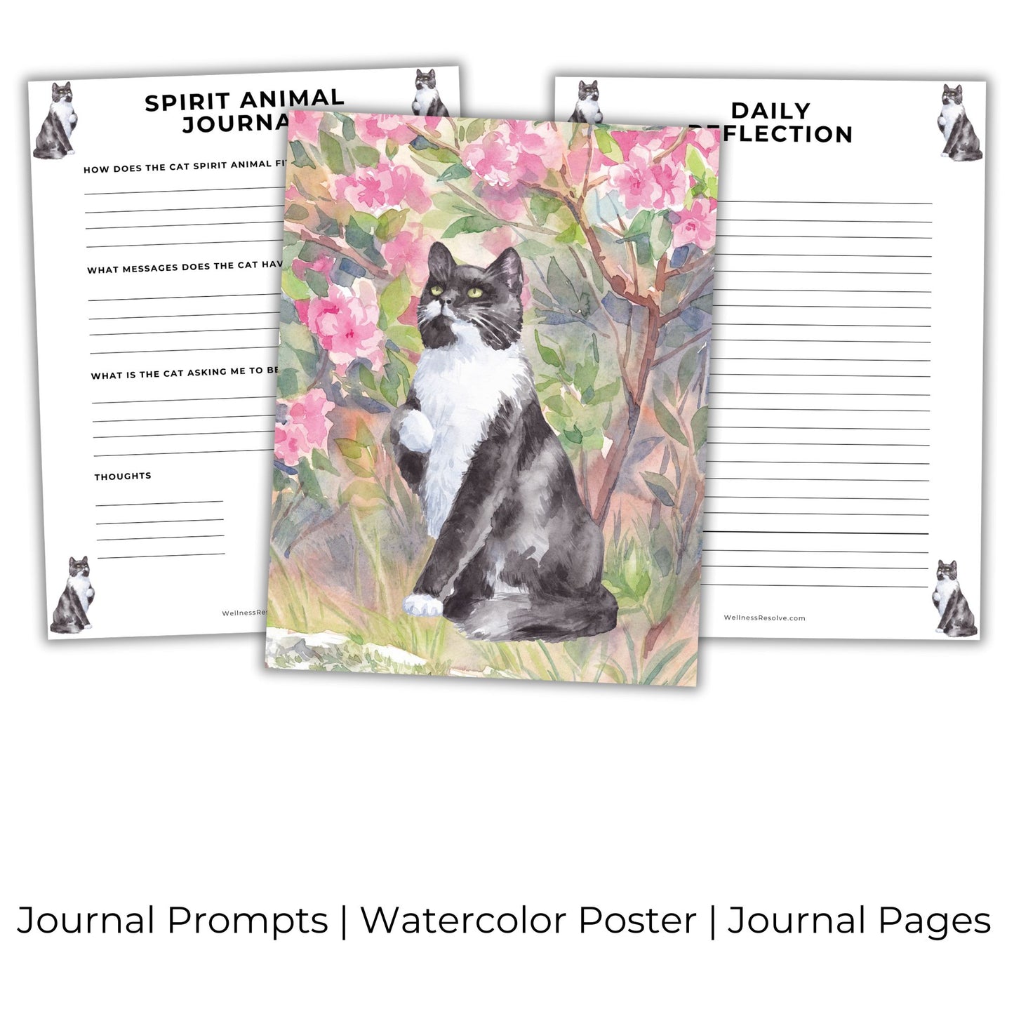 Cat Journal