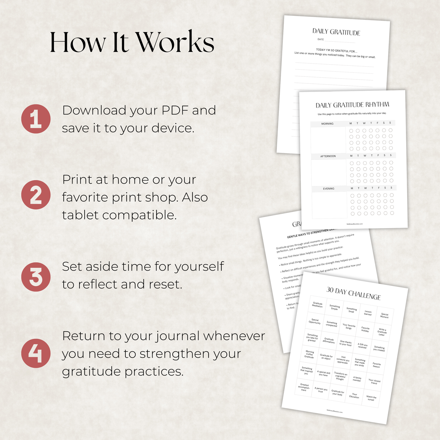 Daily Gratitude Journal