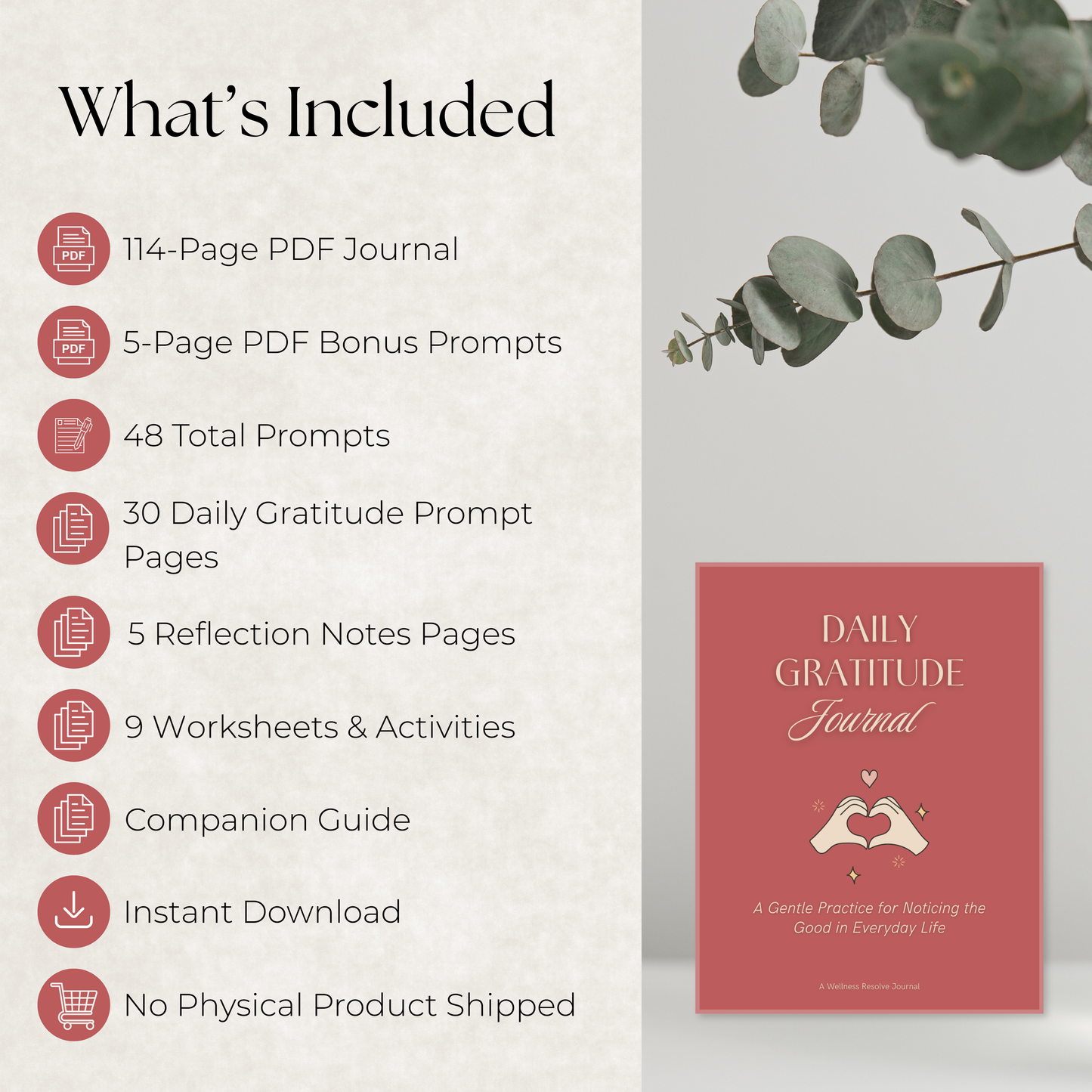 Daily Gratitude Journal