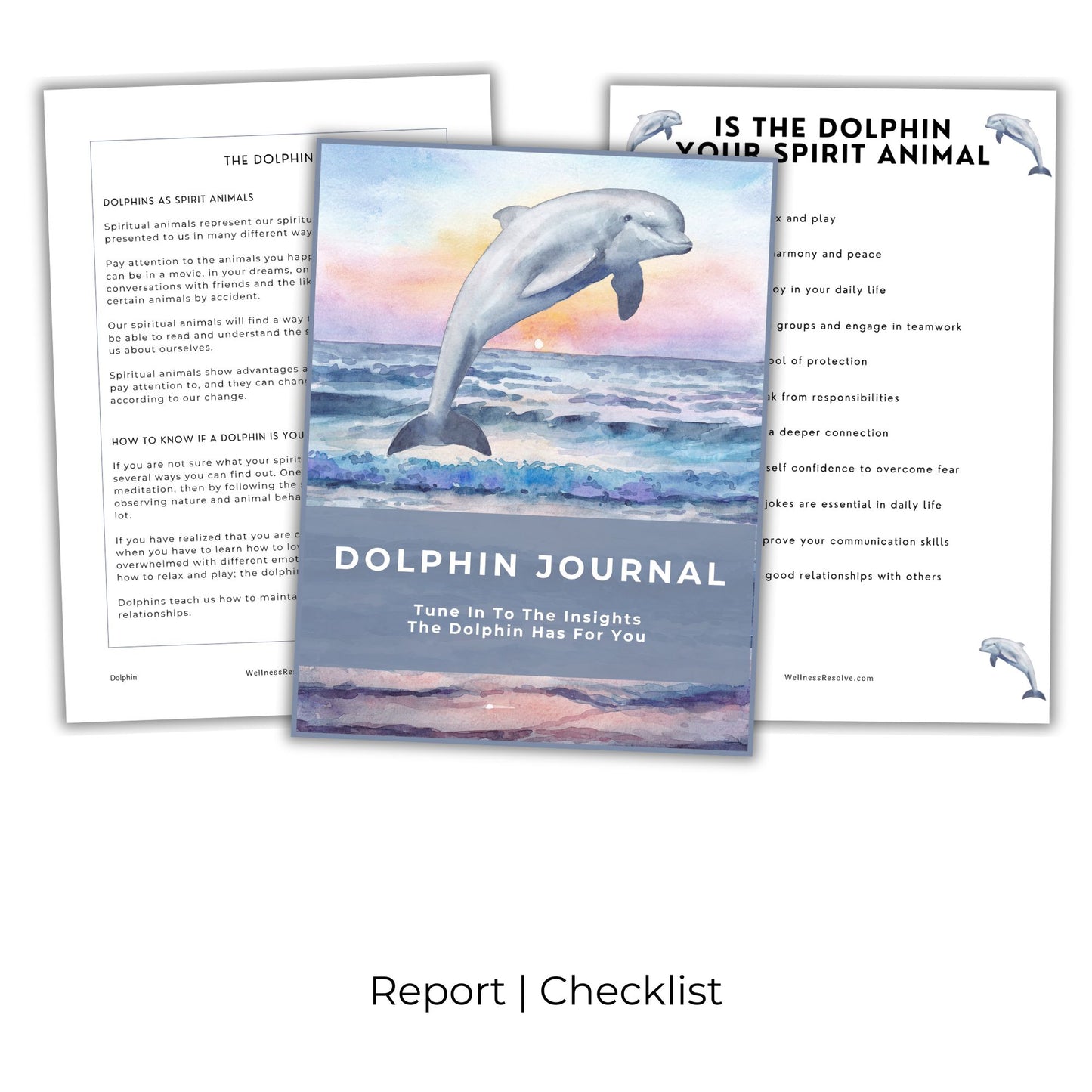 Dolphin Journal
