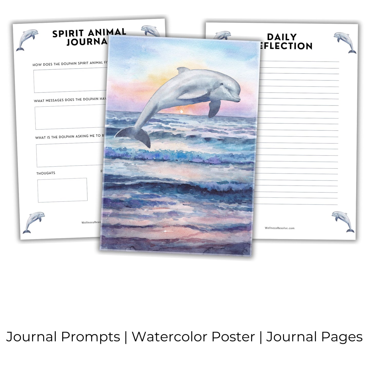 Dolphin Journal