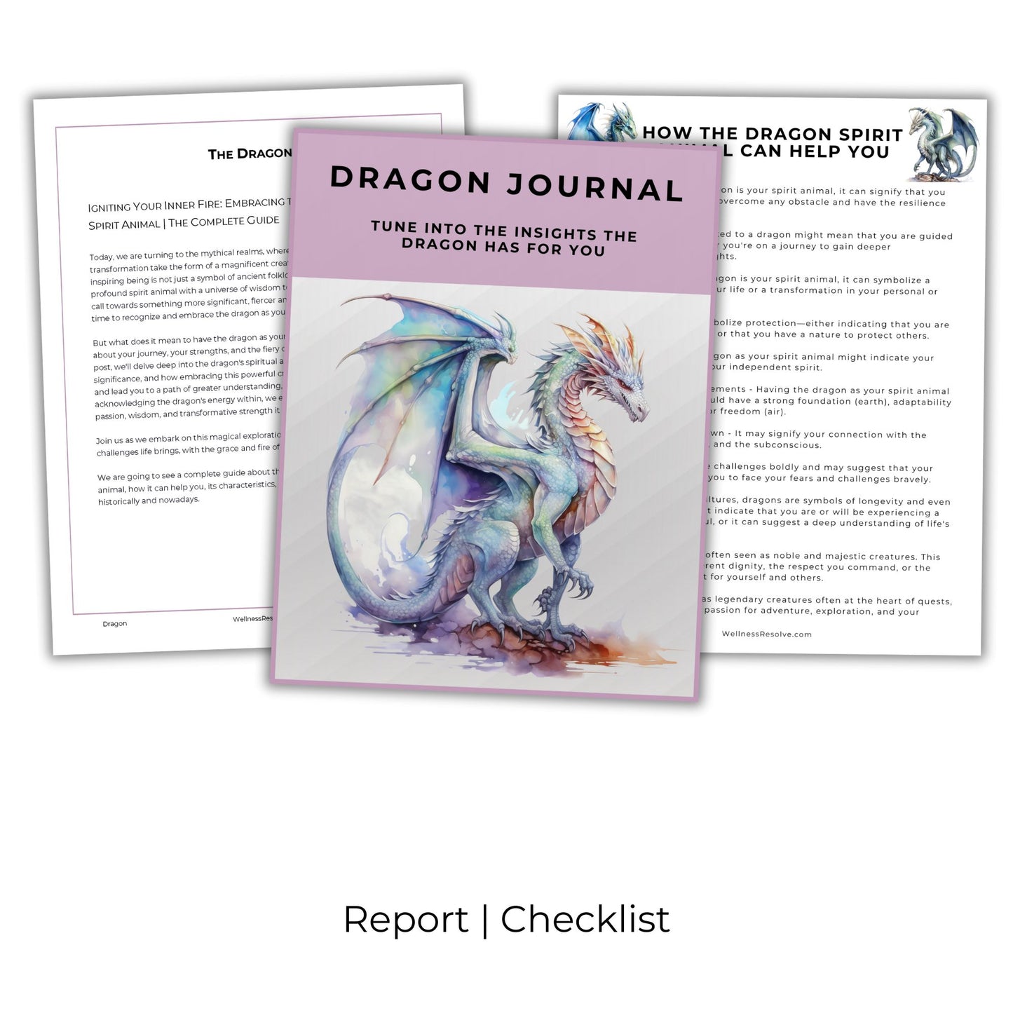 Dragon Journal