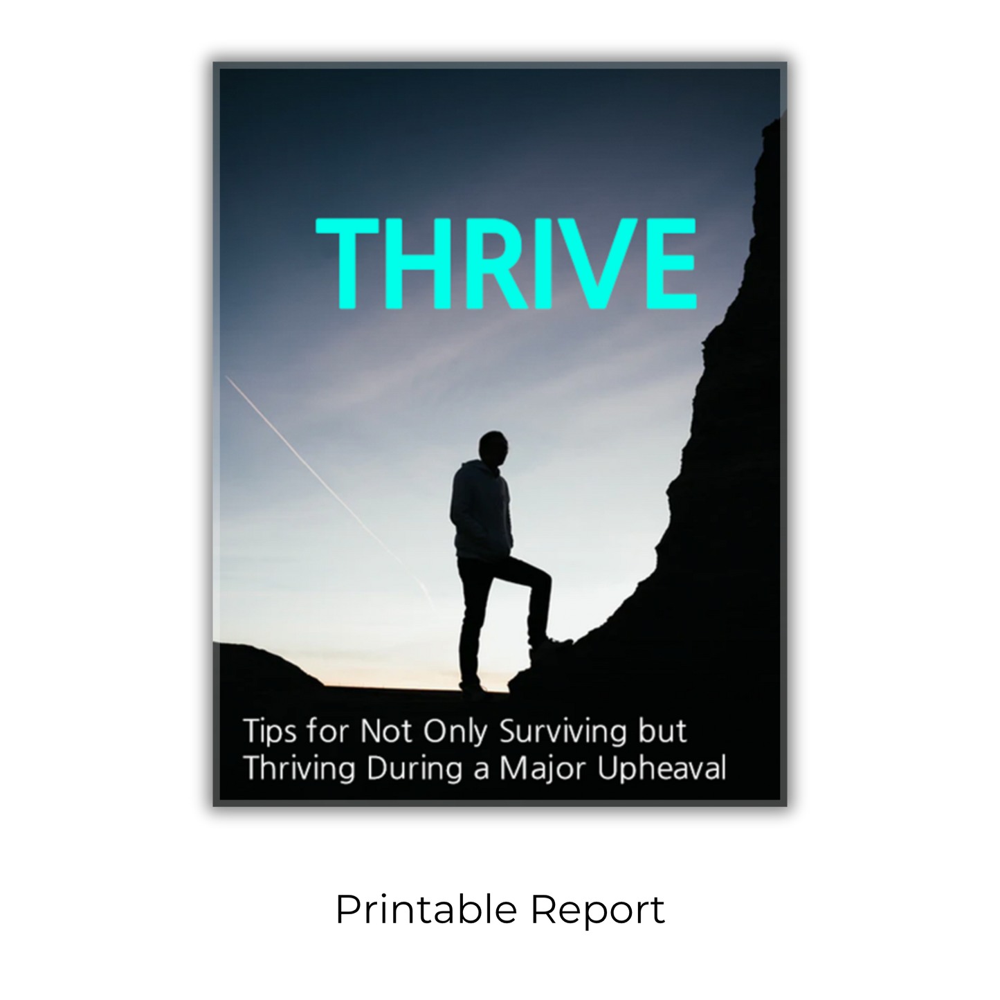 Upheaval: Dealing With Disruptions That Are Beyond Your Control