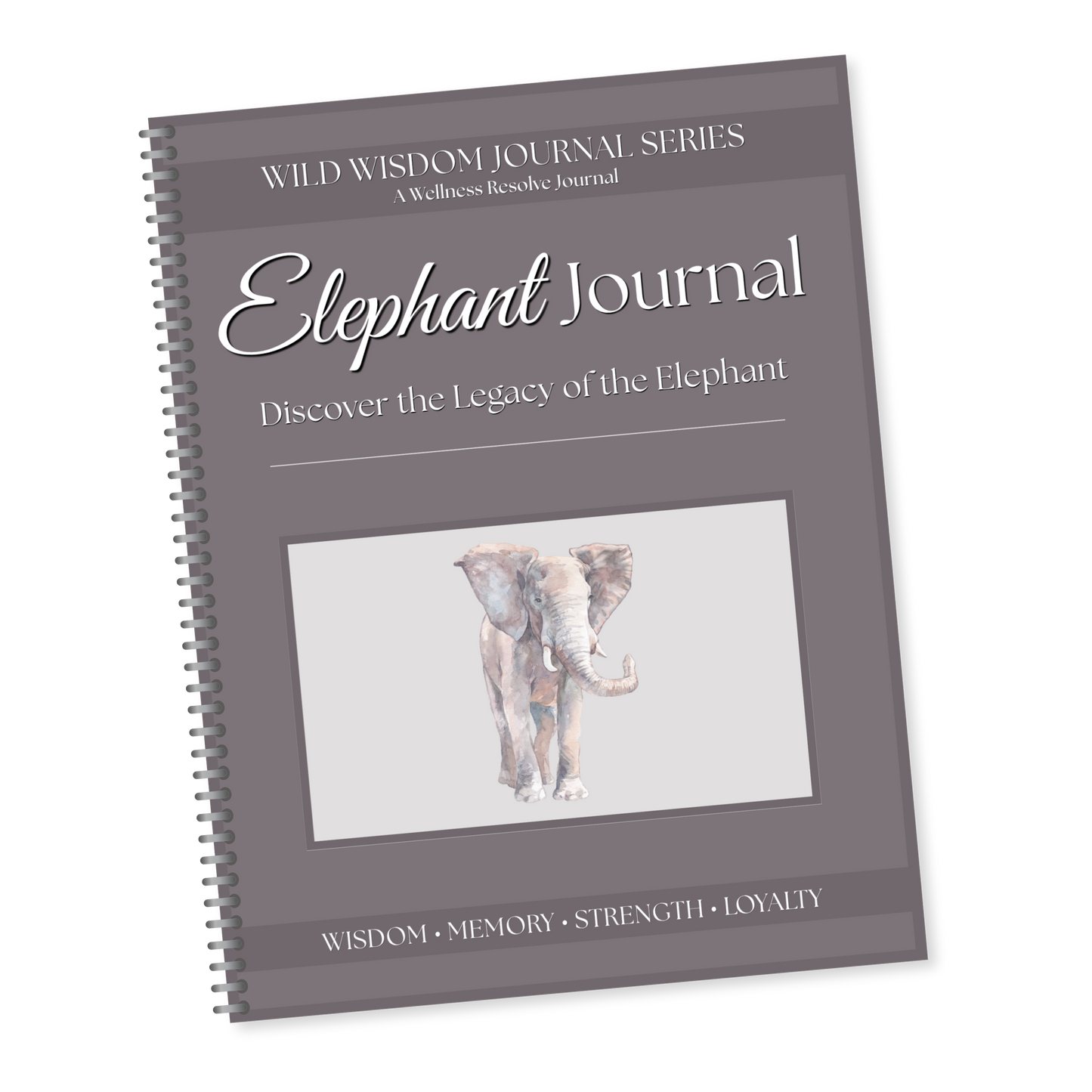 Elephant Journal: A Guided Journey Toward Wisdom, Resilience & Compassion