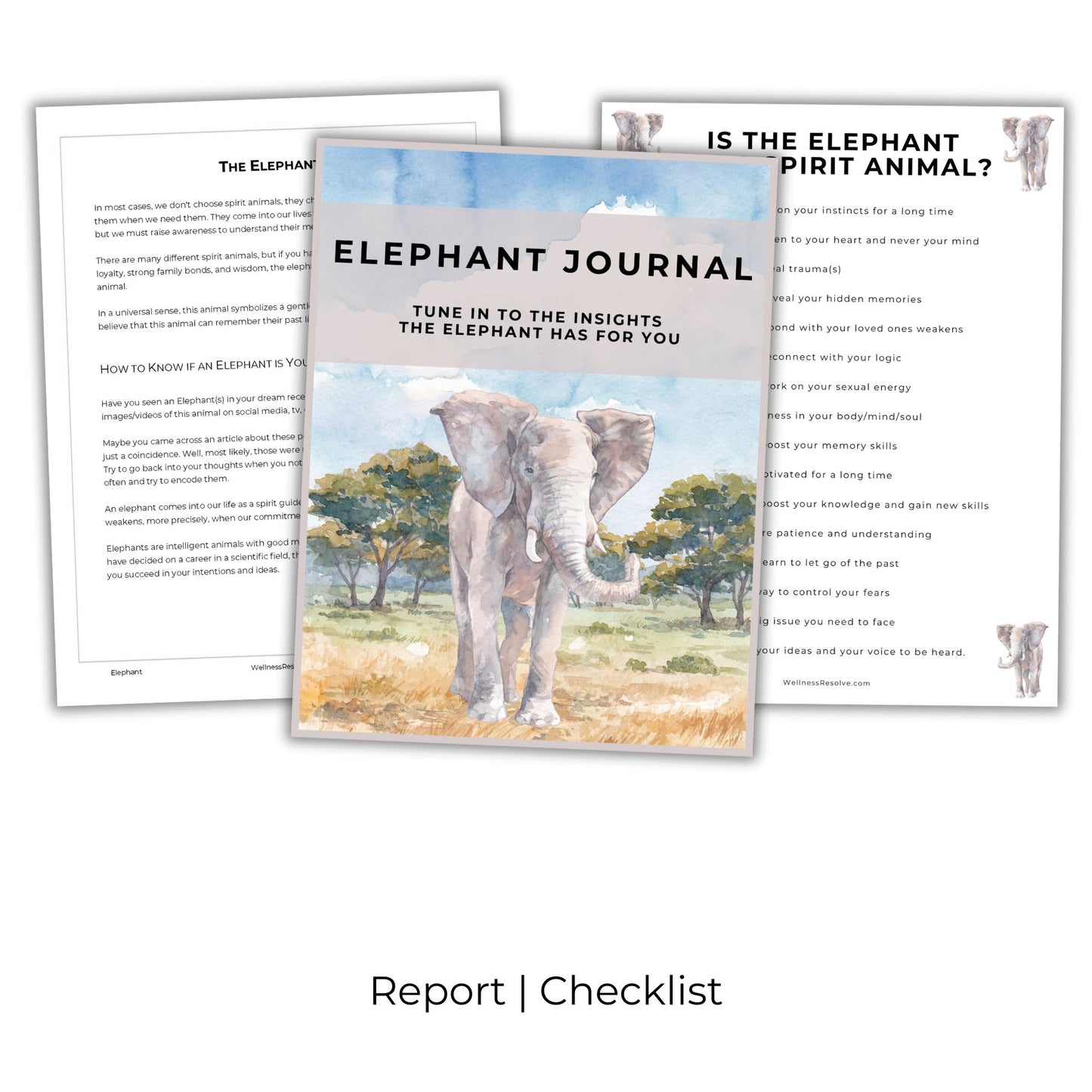 Elephant Journal