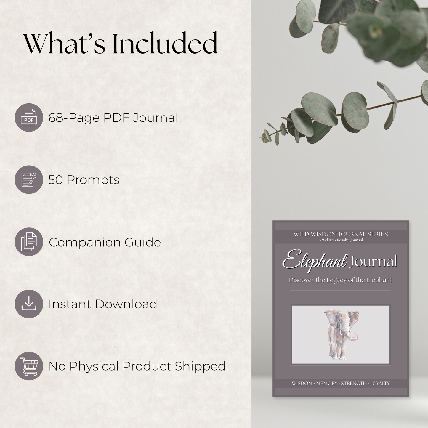 Elephant Journal: A Guided Journey Toward Wisdom, Resilience & Compassion
