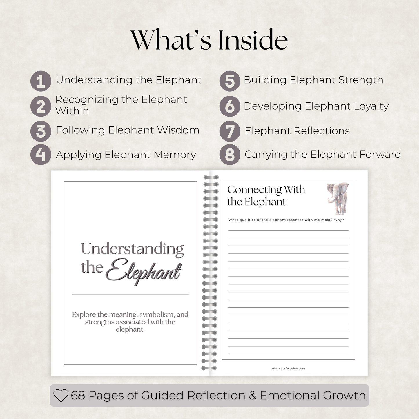 Elephant Journal: A Guided Journey Toward Wisdom, Resilience & Compassion