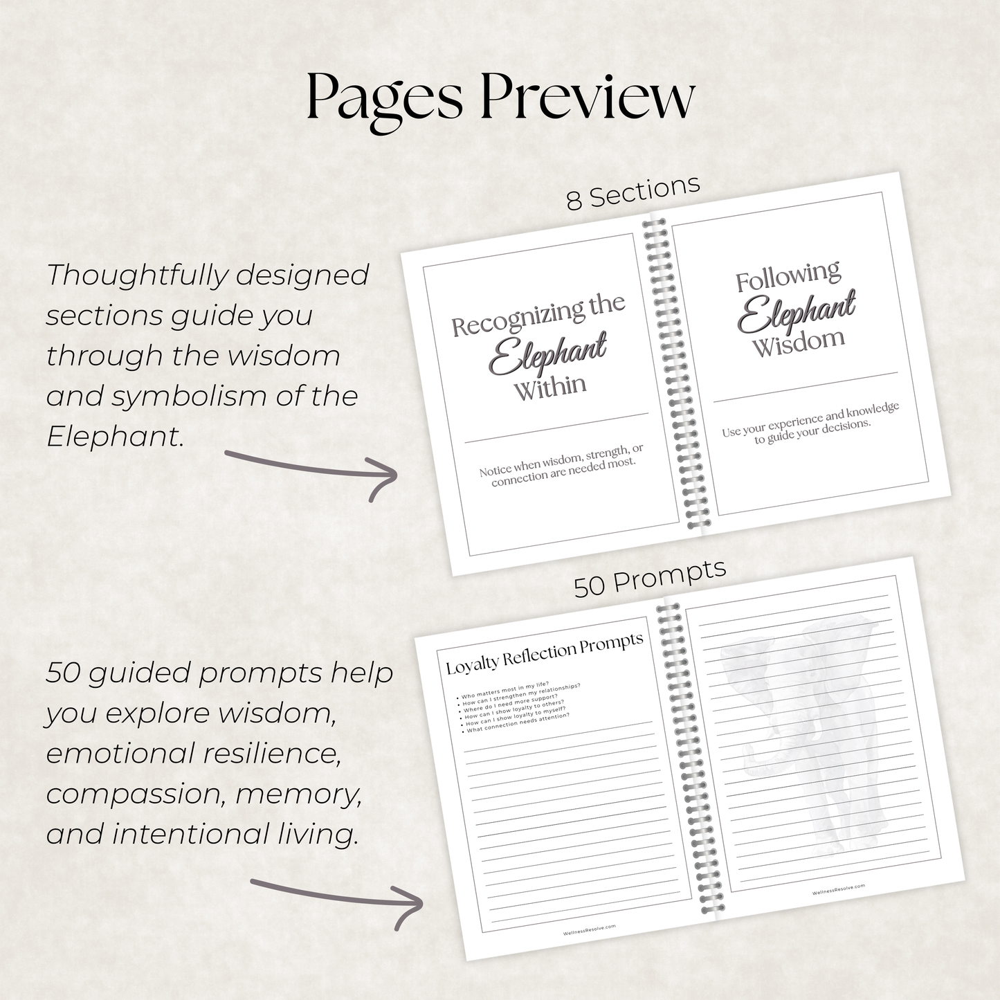 Elephant Journal: A Guided Journey Toward Wisdom, Resilience & Compassion