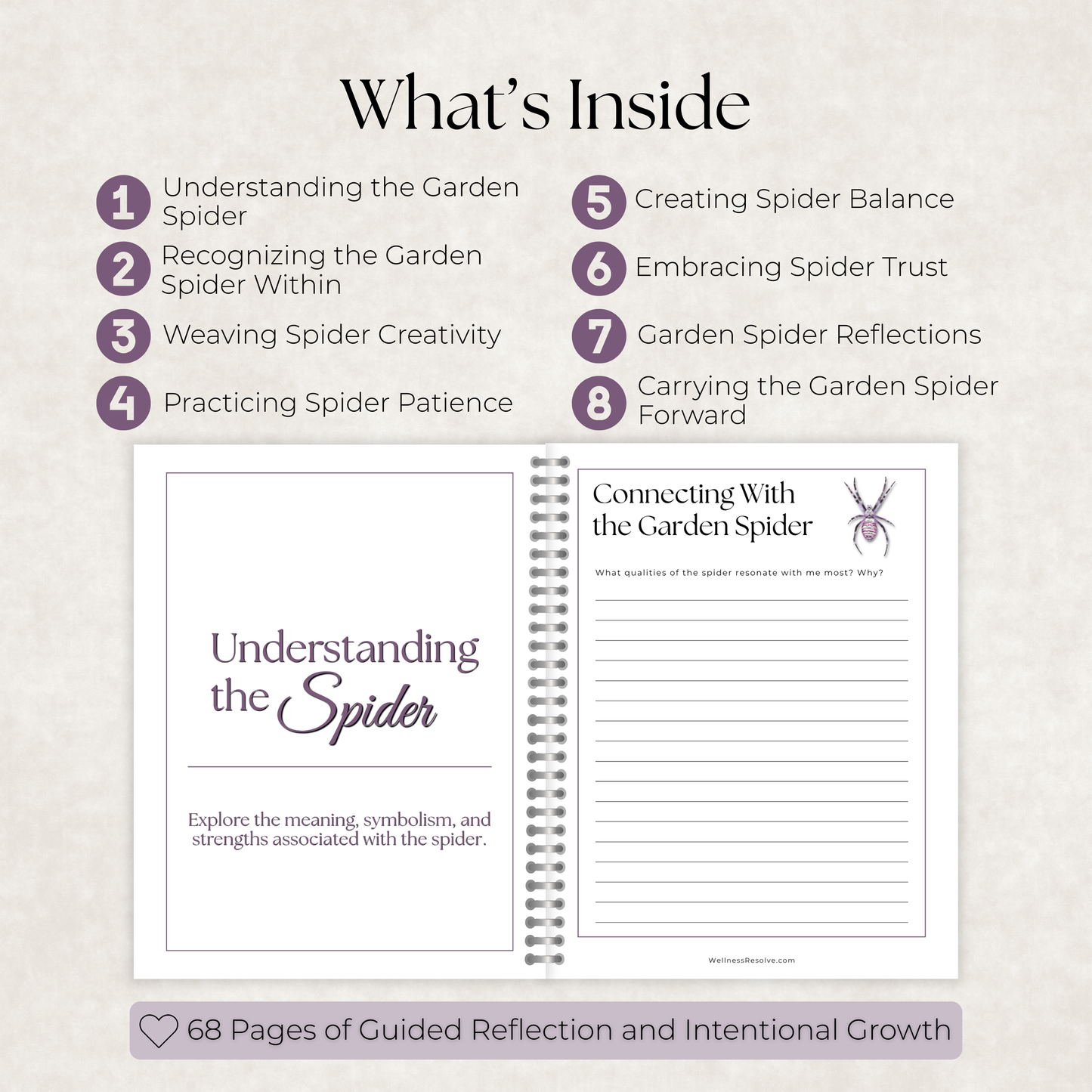 Garden Spider Journal: A Guided Journey Toward Creativity, Patience & Trust
