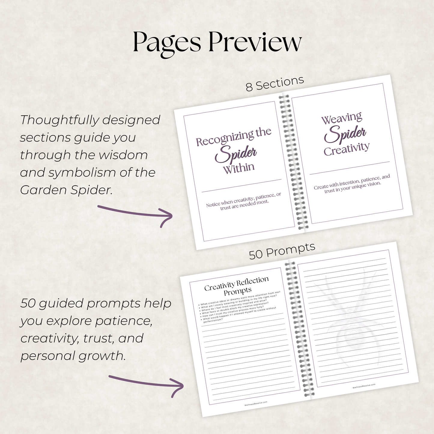 Garden Spider Journal: A Guided Journey Toward Creativity, Patience & Trust