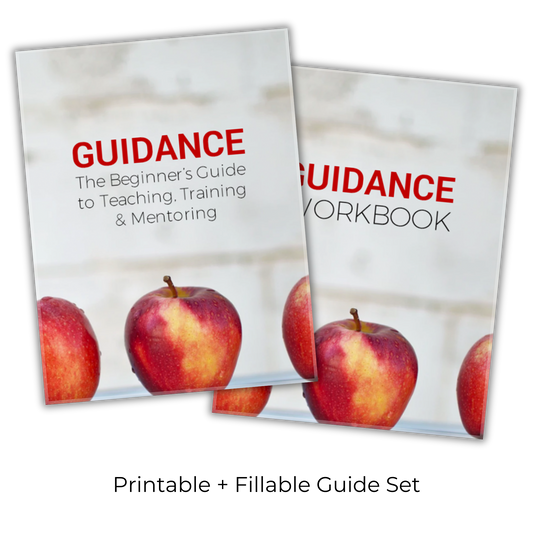 Guidance: The Beginner’s Guide to Teaching, Training and Mentoring