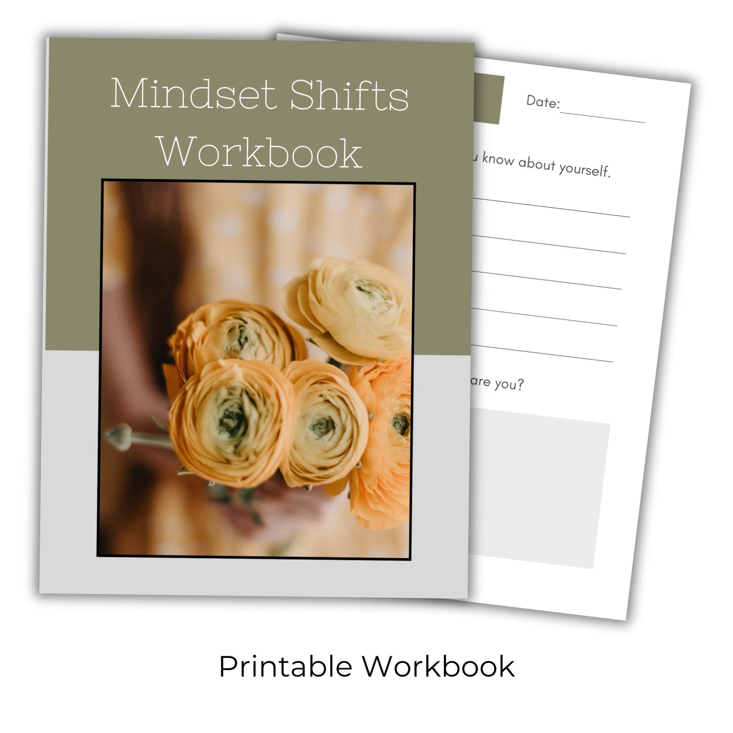 Mindset Shifts Journal Set
