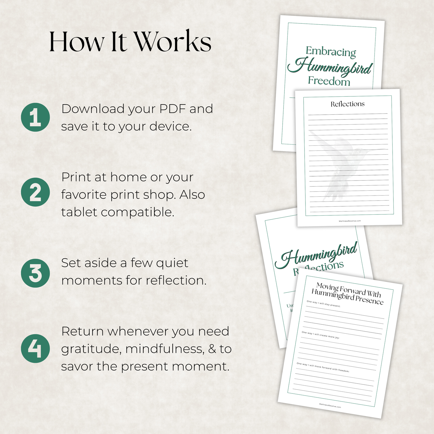 Hummingbird Journal: A Guided Journey Toward Gratitude, Presence & Joy