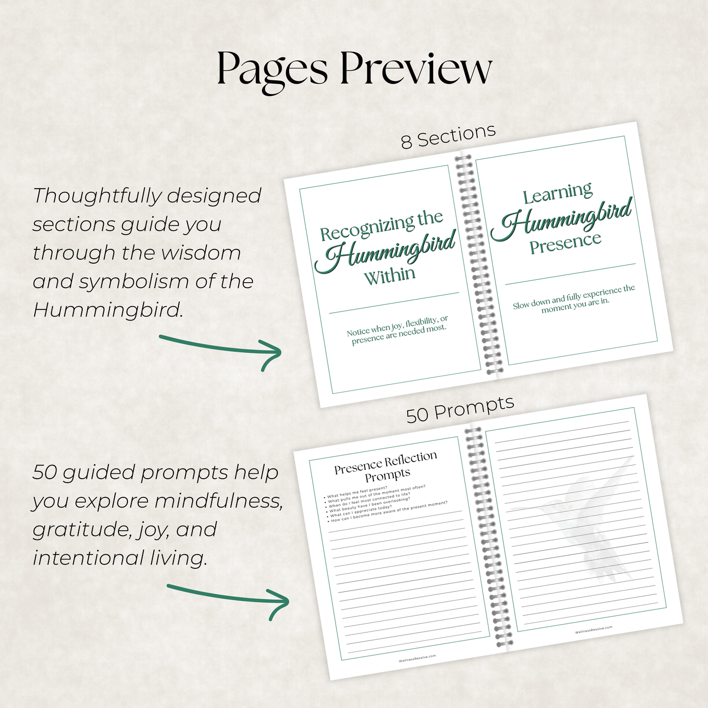 Hummingbird Journal: A Guided Journey Toward Gratitude, Presence & Joy