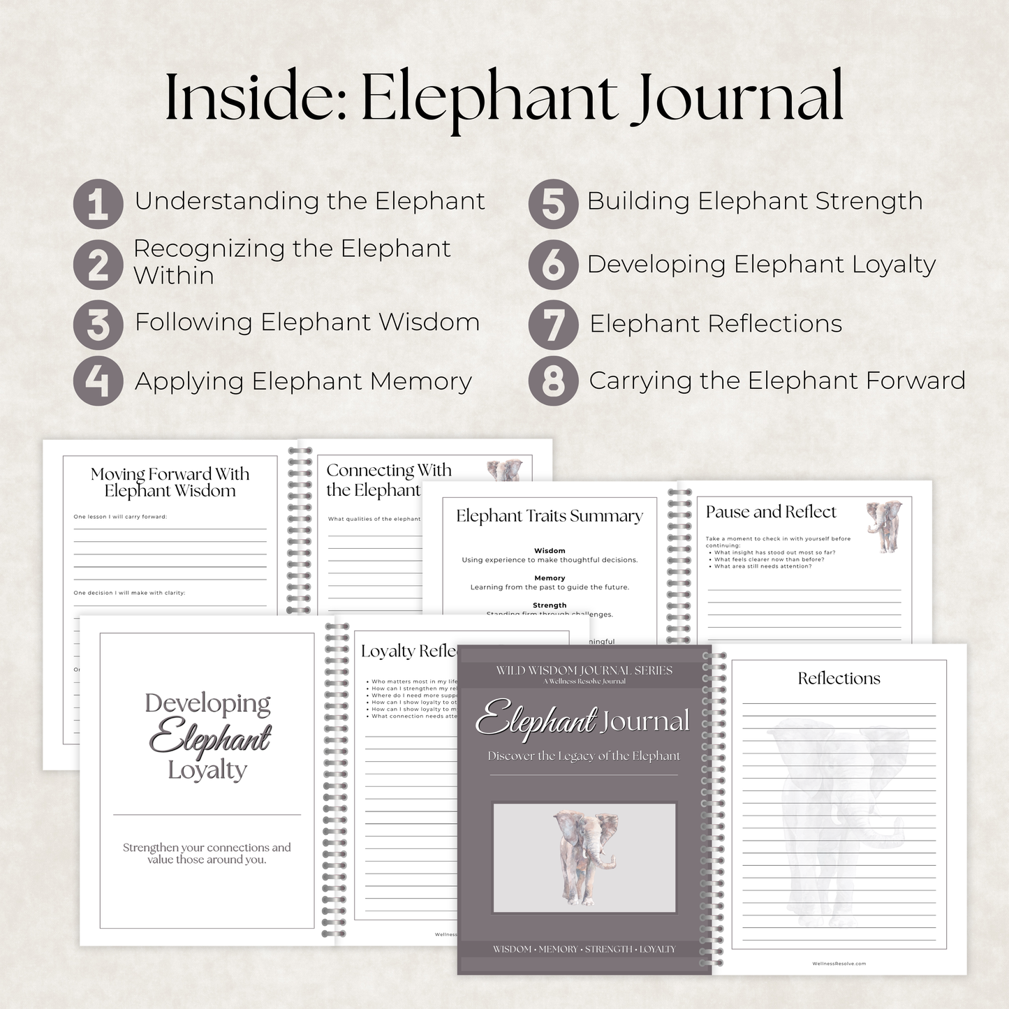 Insightful Heart Journal Collection: 7 Guided Journals for Wisdom, Intuition & Personal Growth