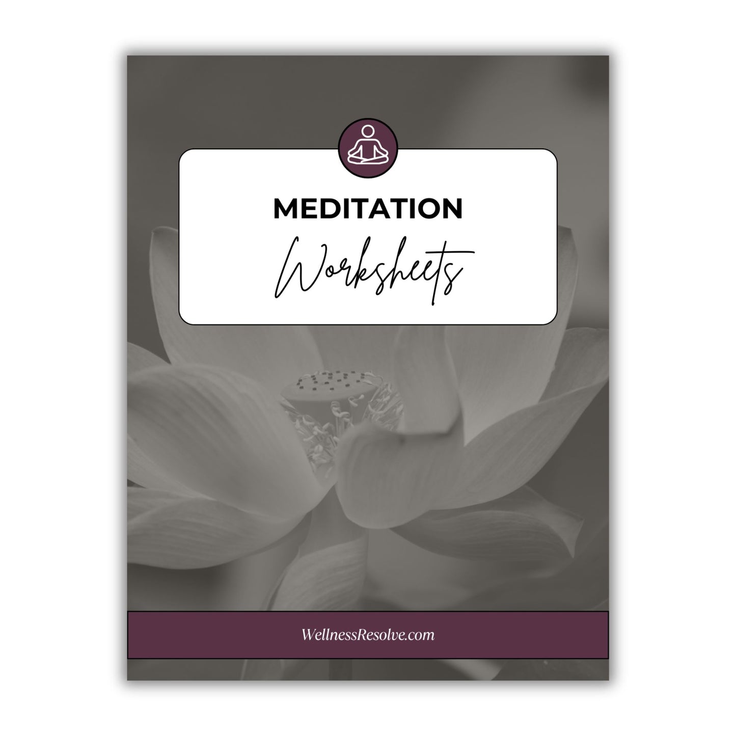 Guided Meditations For Transformation - LTR