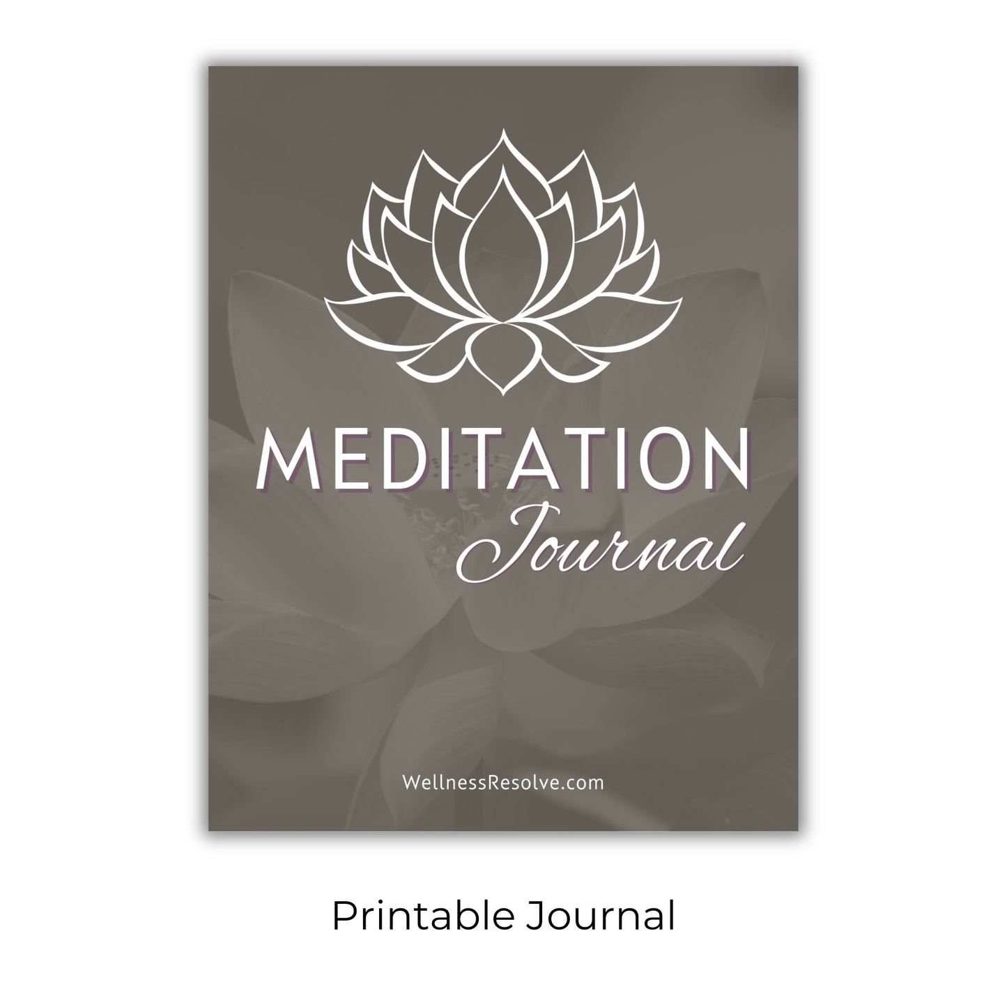 Guided Meditations For Transformation - LTR
