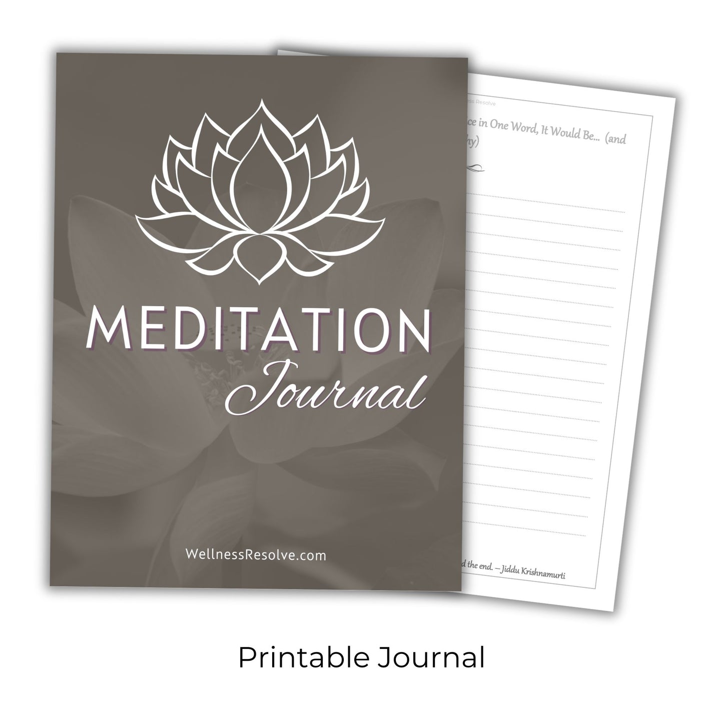 Guided Meditations For Transformation - LTR