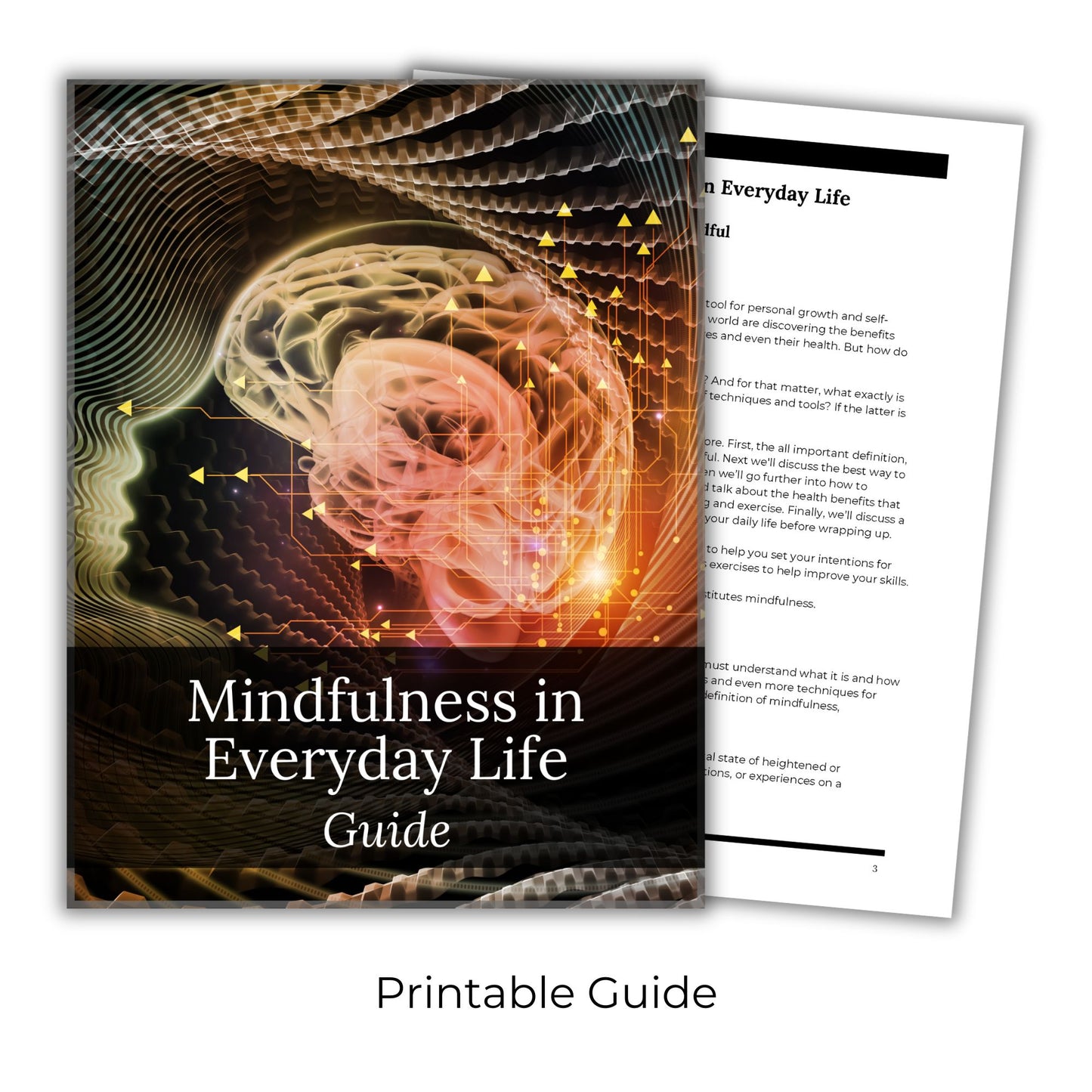 Mindfulness In Everyday Life