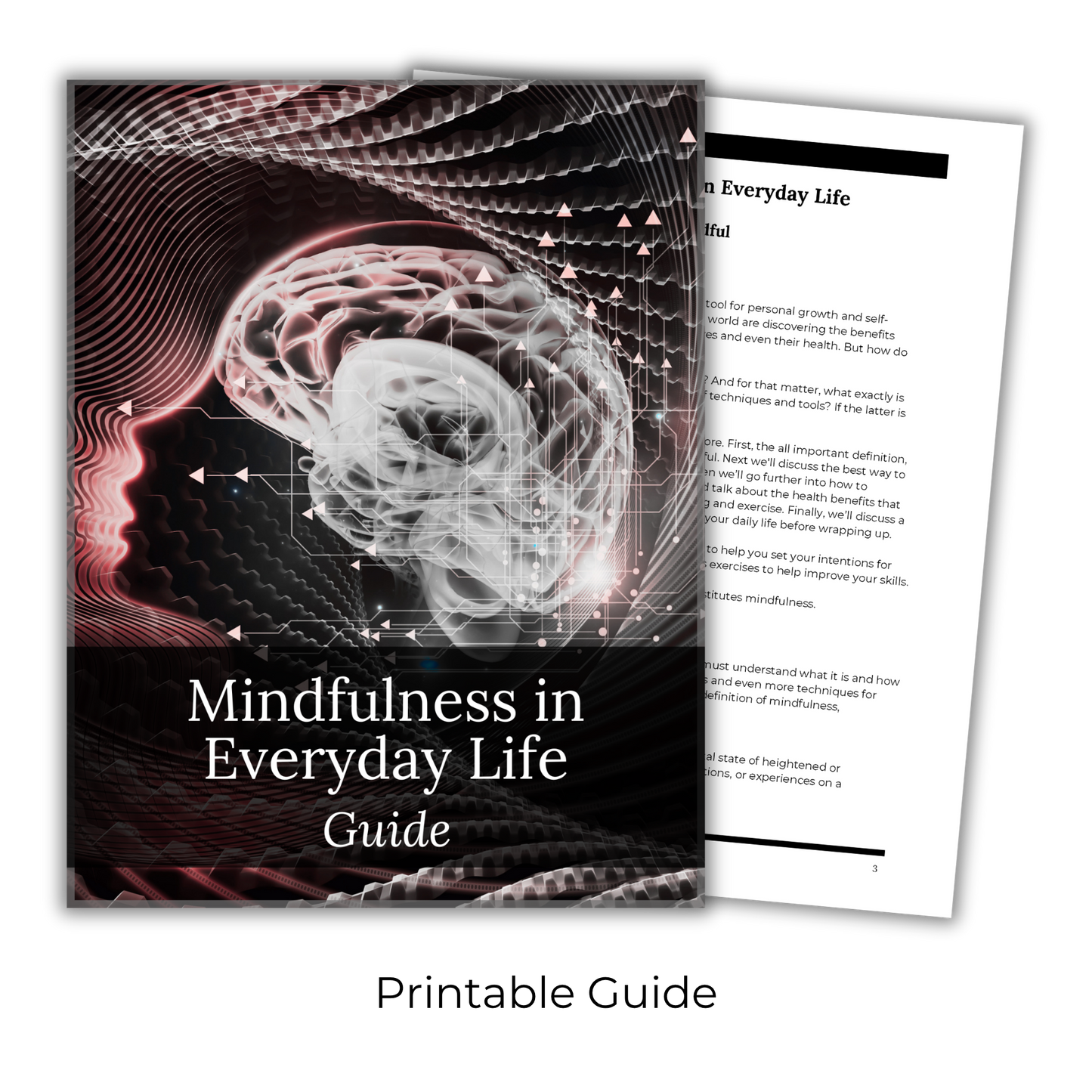 Mindfulness In Everyday Life