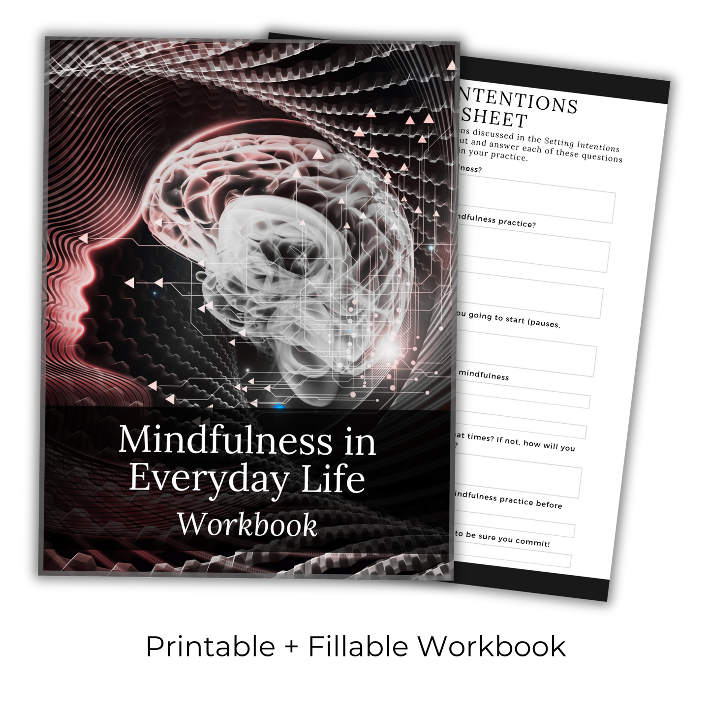 Mindfulness In Everyday Life