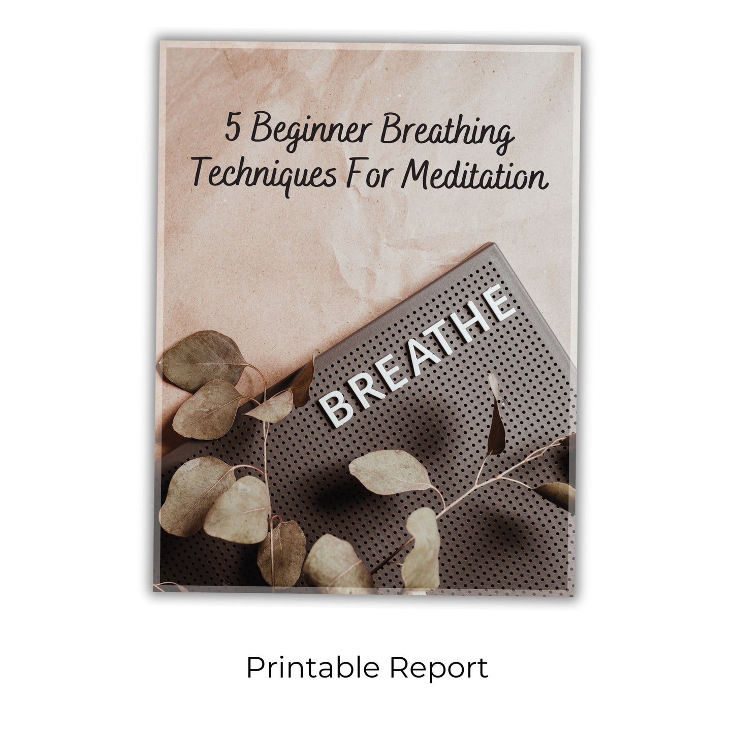 Modern-Day Meditation Manual: A Beginner's Guide to Finding Calm, Peace and Balance In A Tumultuous World