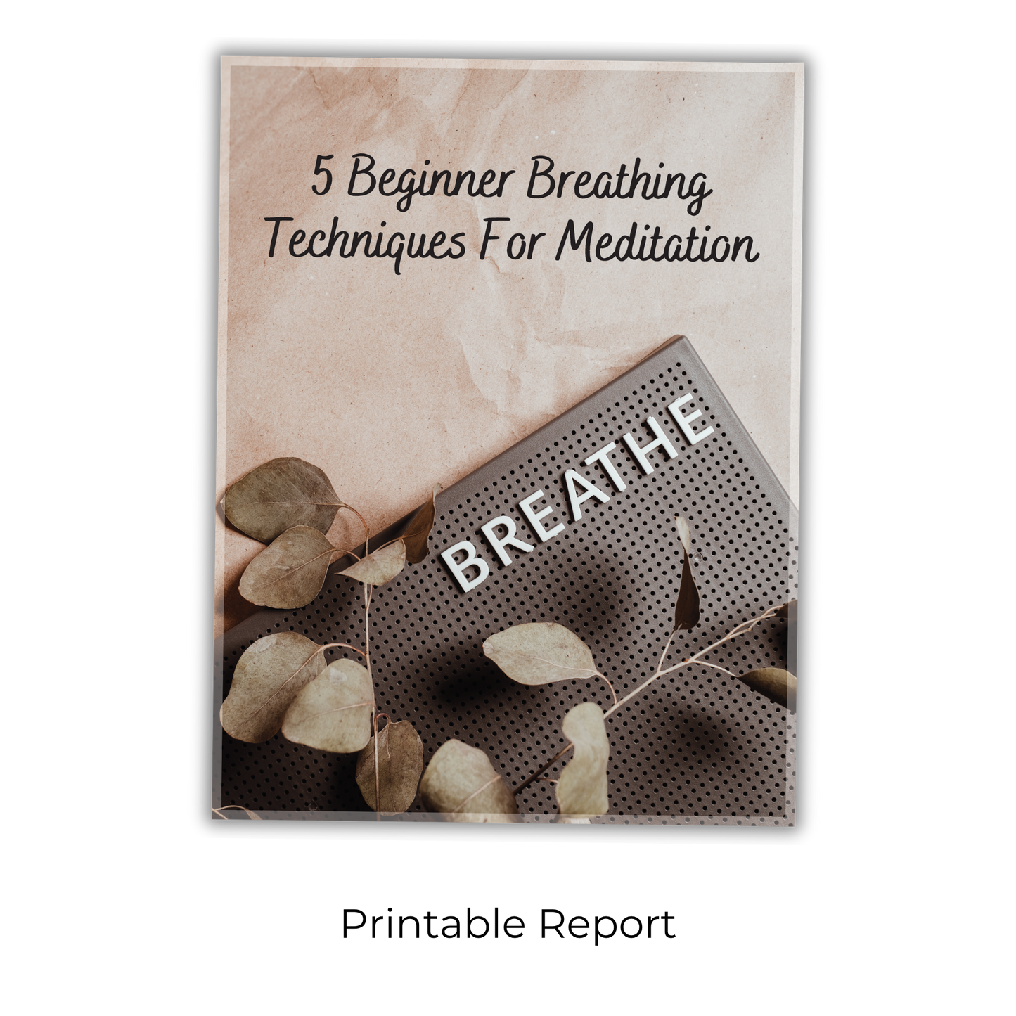 Modern-Day Meditation Manual: A Beginner's Guide to Finding Calm, Peace and Balance In A Tumultuous World