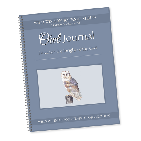 Owl Journal: A Guided Journey Toward Wisdom, Clarity & Intuitive Living