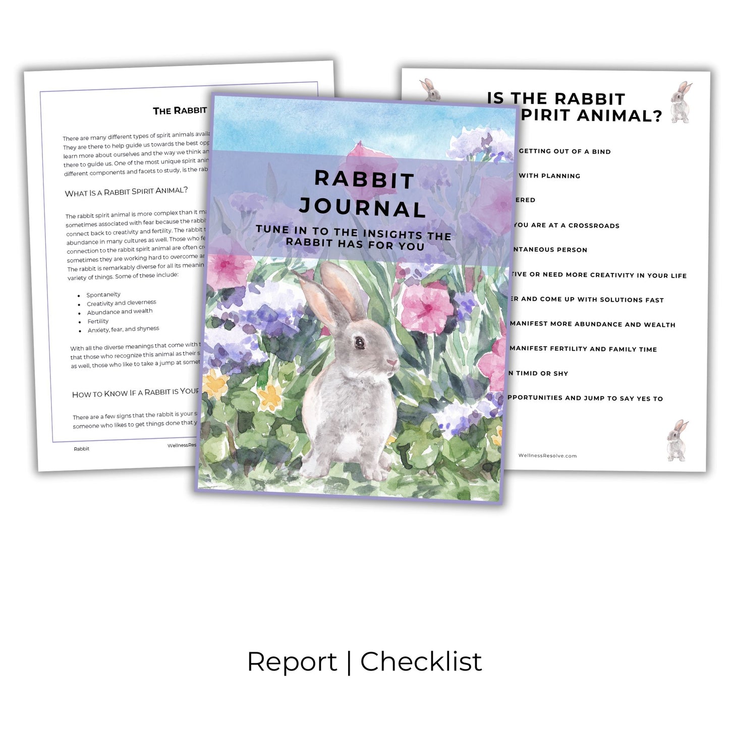 Rabbit Journal