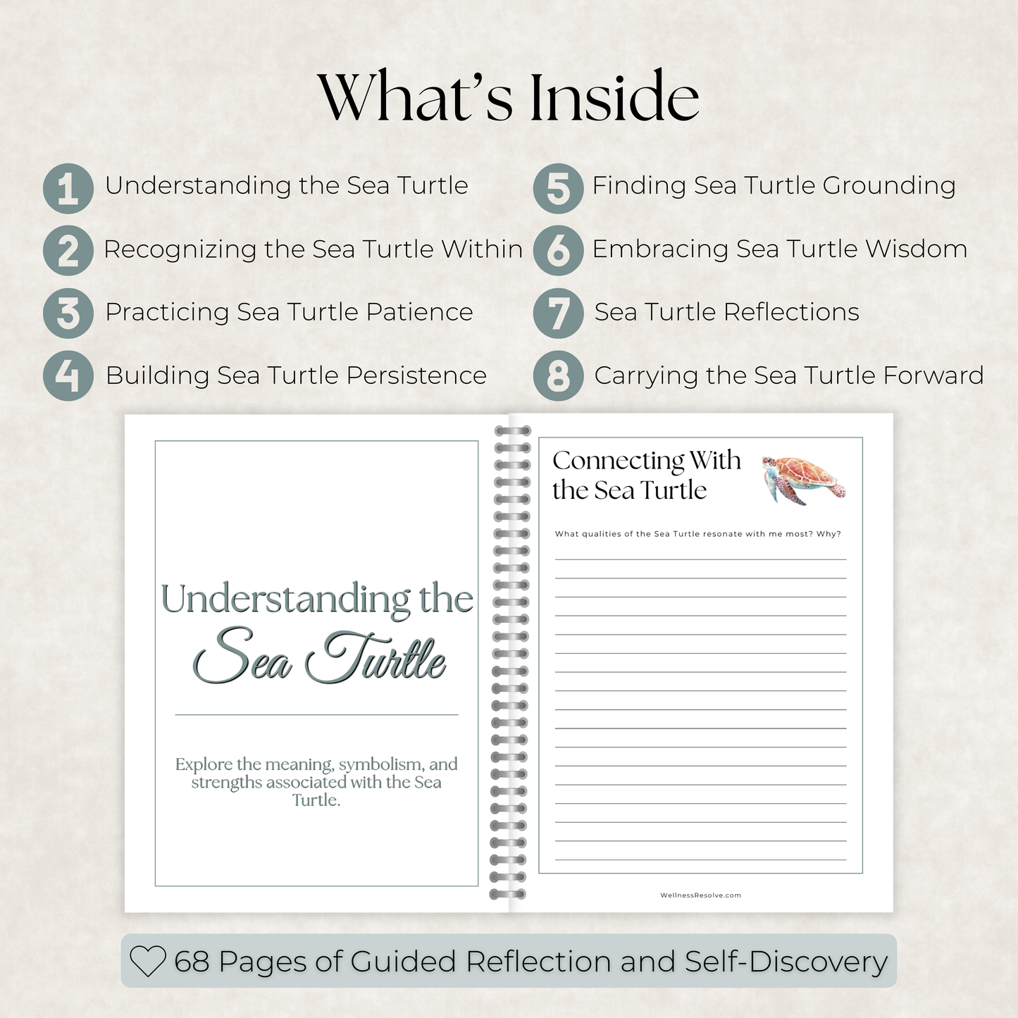 Sea Turtle Journal: A Guided Journey Toward Patience, Resilience & Trust