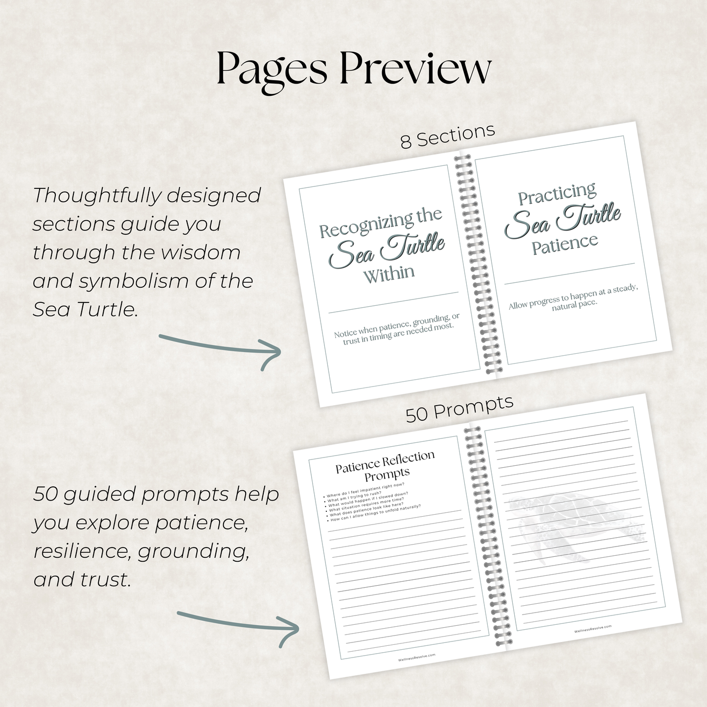 Sea Turtle Journal: A Guided Journey Toward Patience, Resilience & Trust