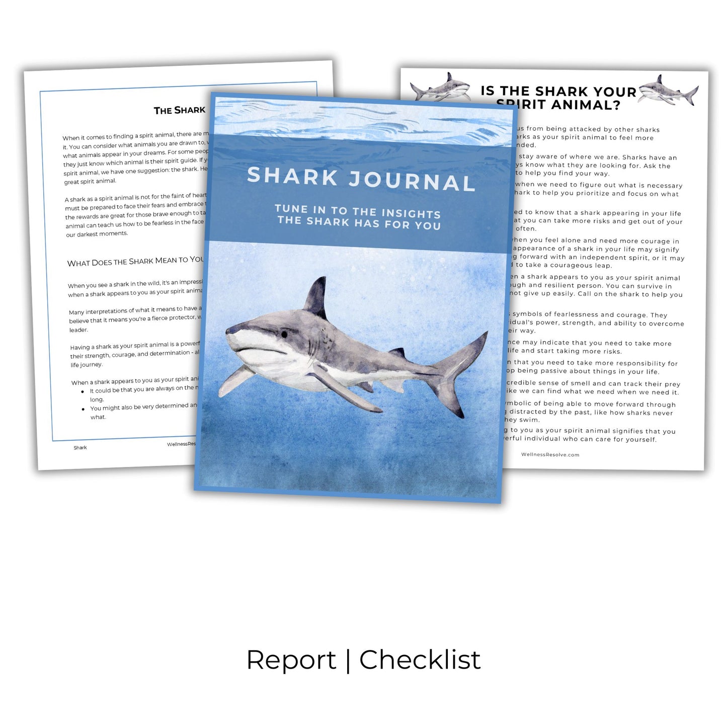 Shark Journal